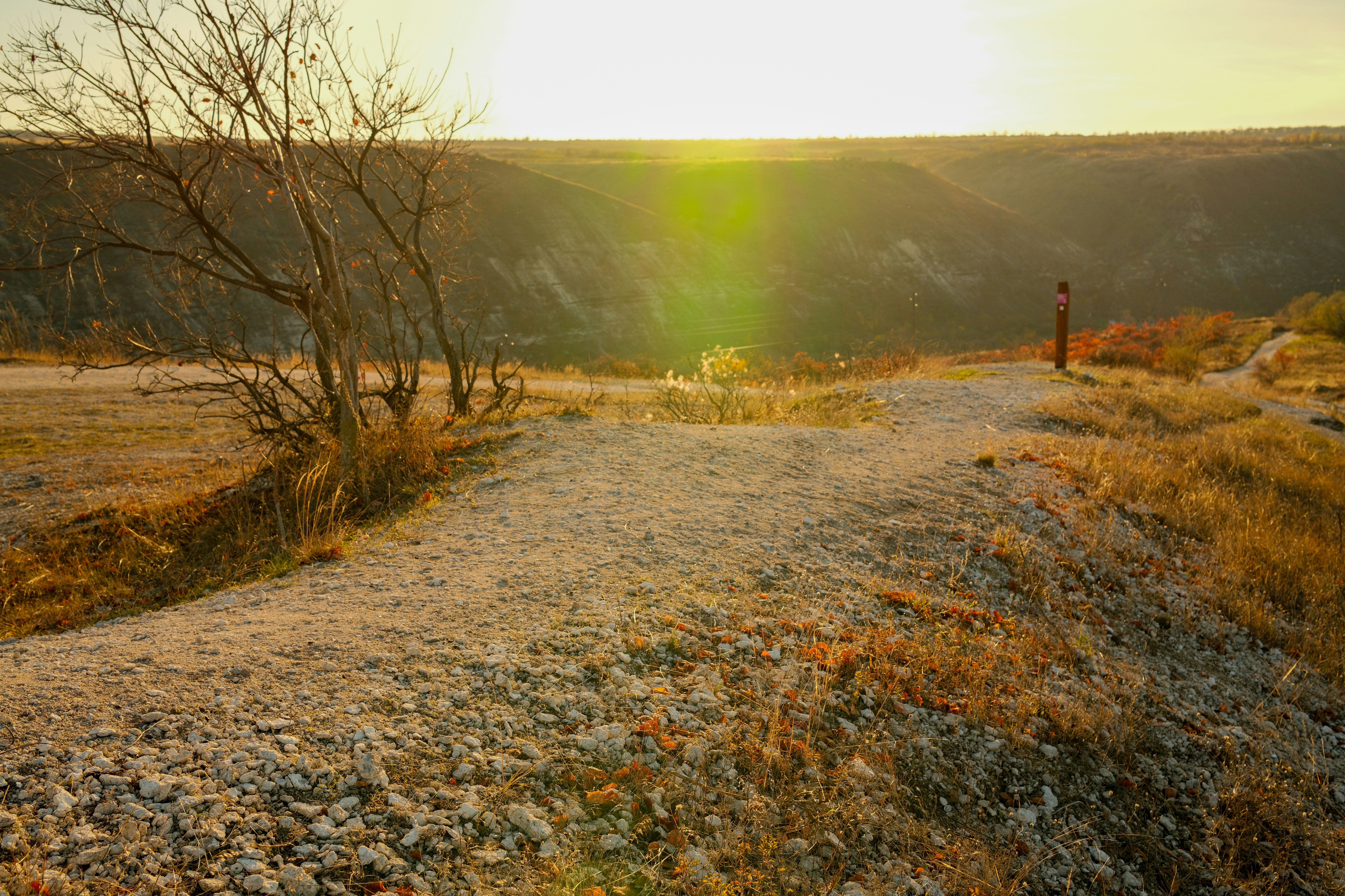 Golden sunset over a dry, rocky landscape.