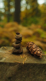 Stack of stones and pinecone on wooden surface