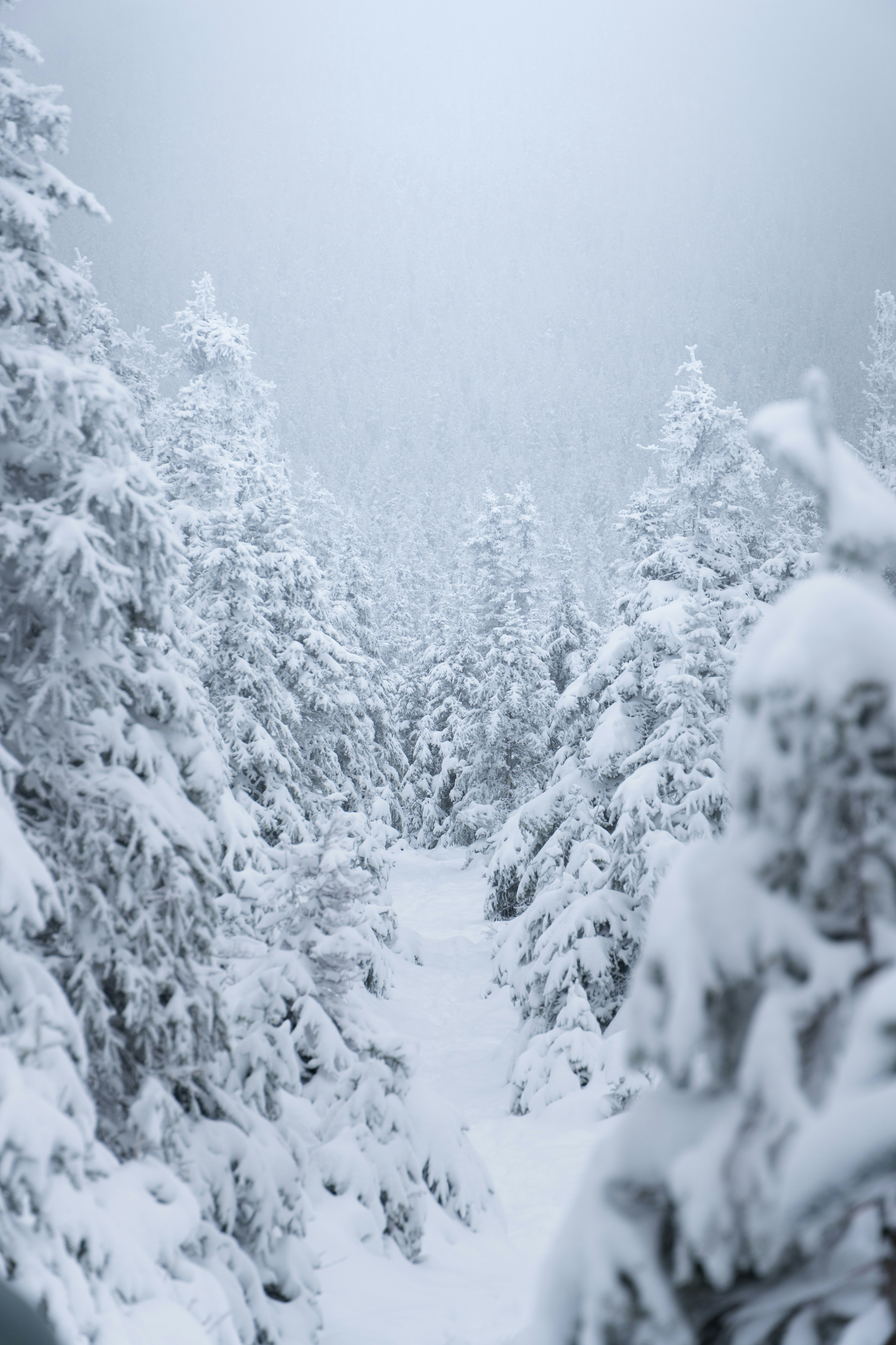 Photo by tog_photography