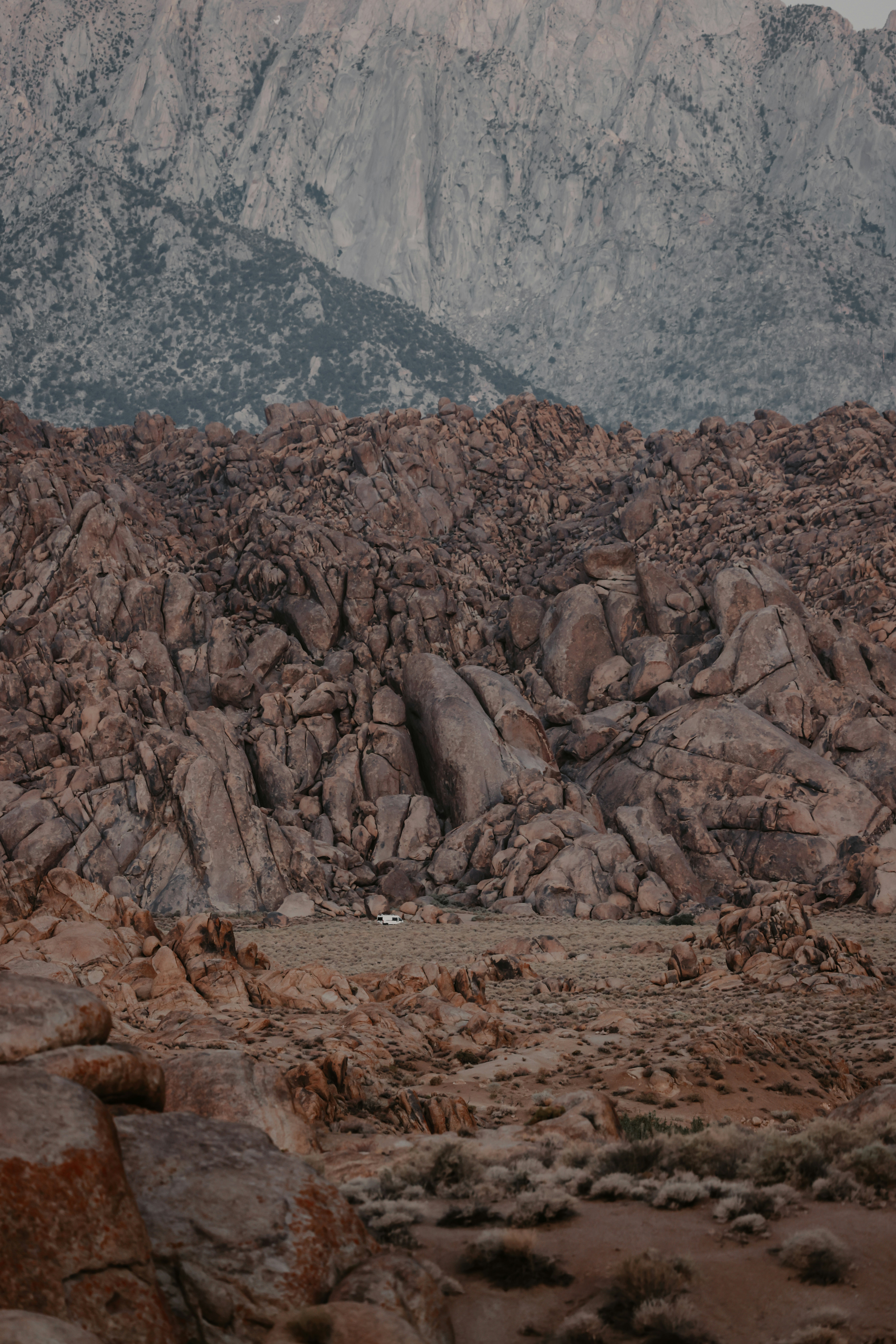 Rocky desert landscape with mountains in background