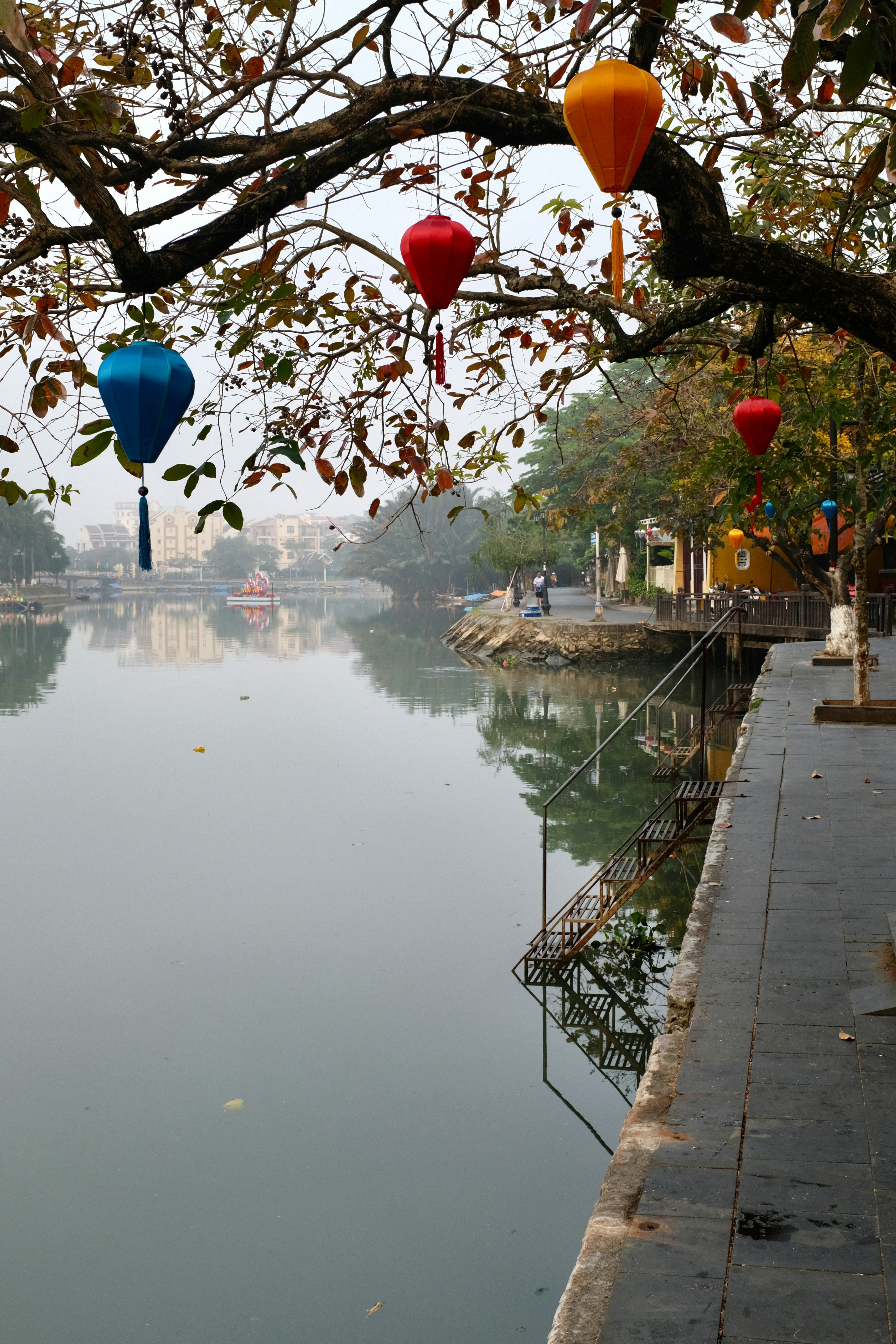 穏やかな川の木の枝に色とりどりの提灯がぶら下がっています。