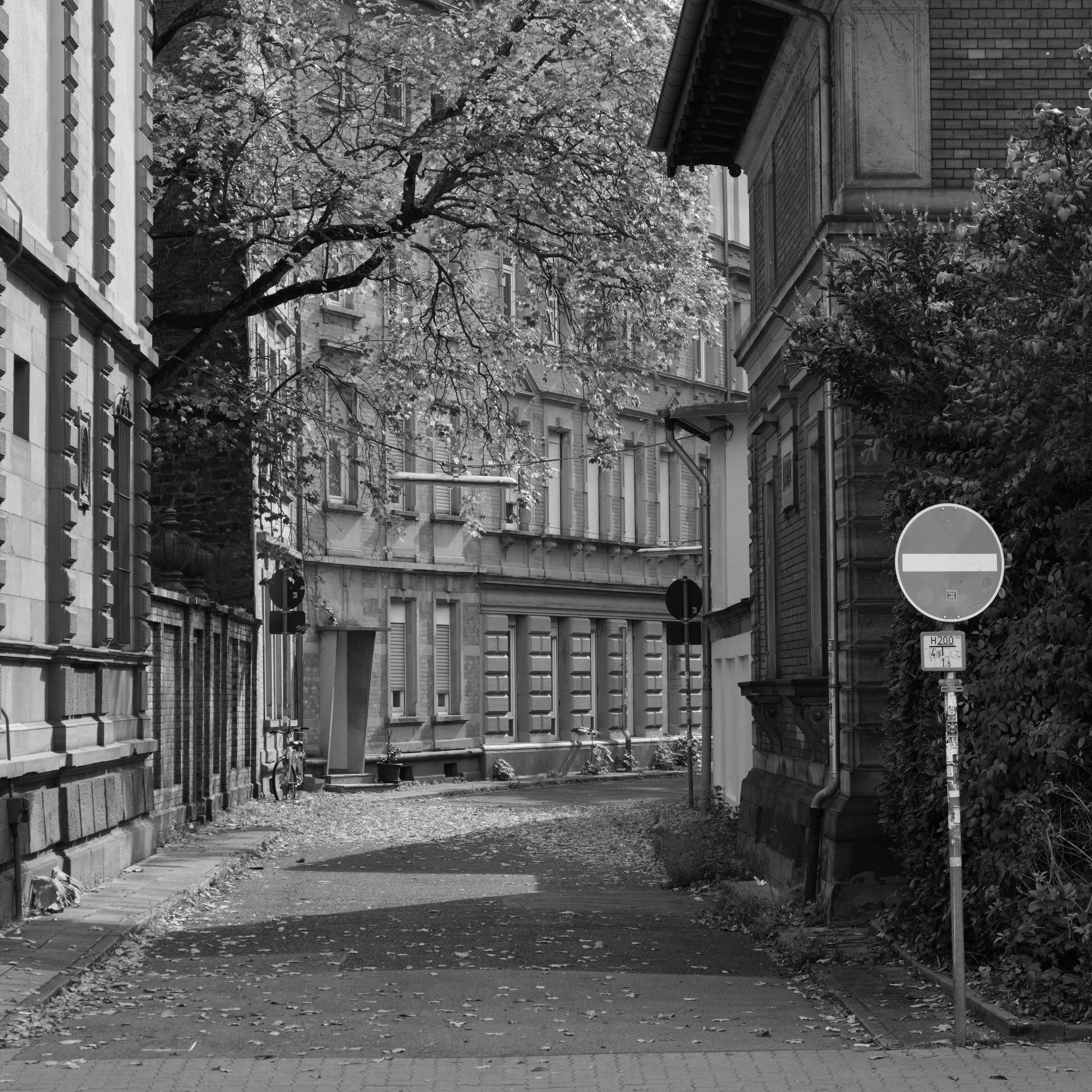 Photo by klarin_steffens