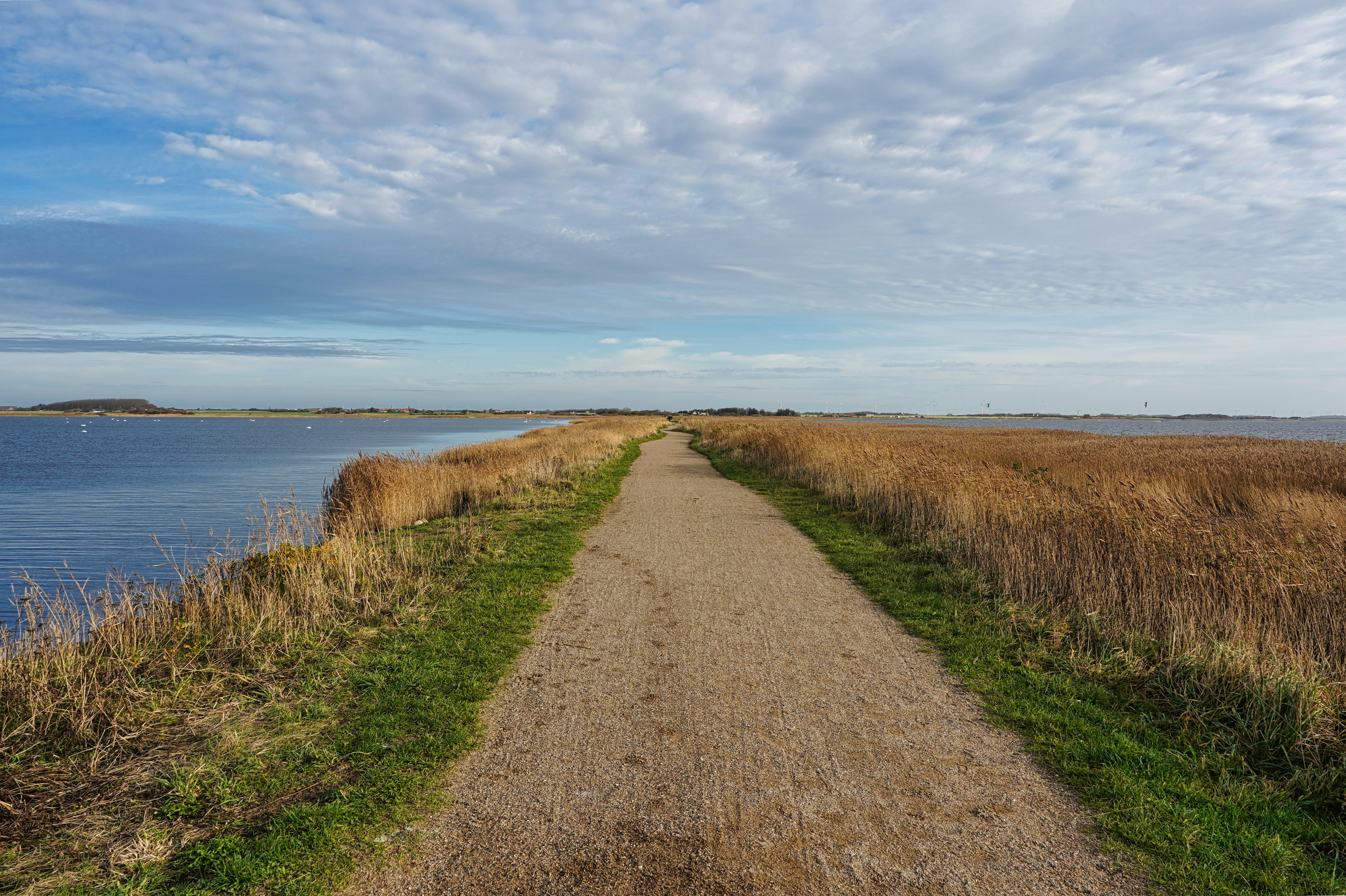 Photo by hamburgmeinefreundin