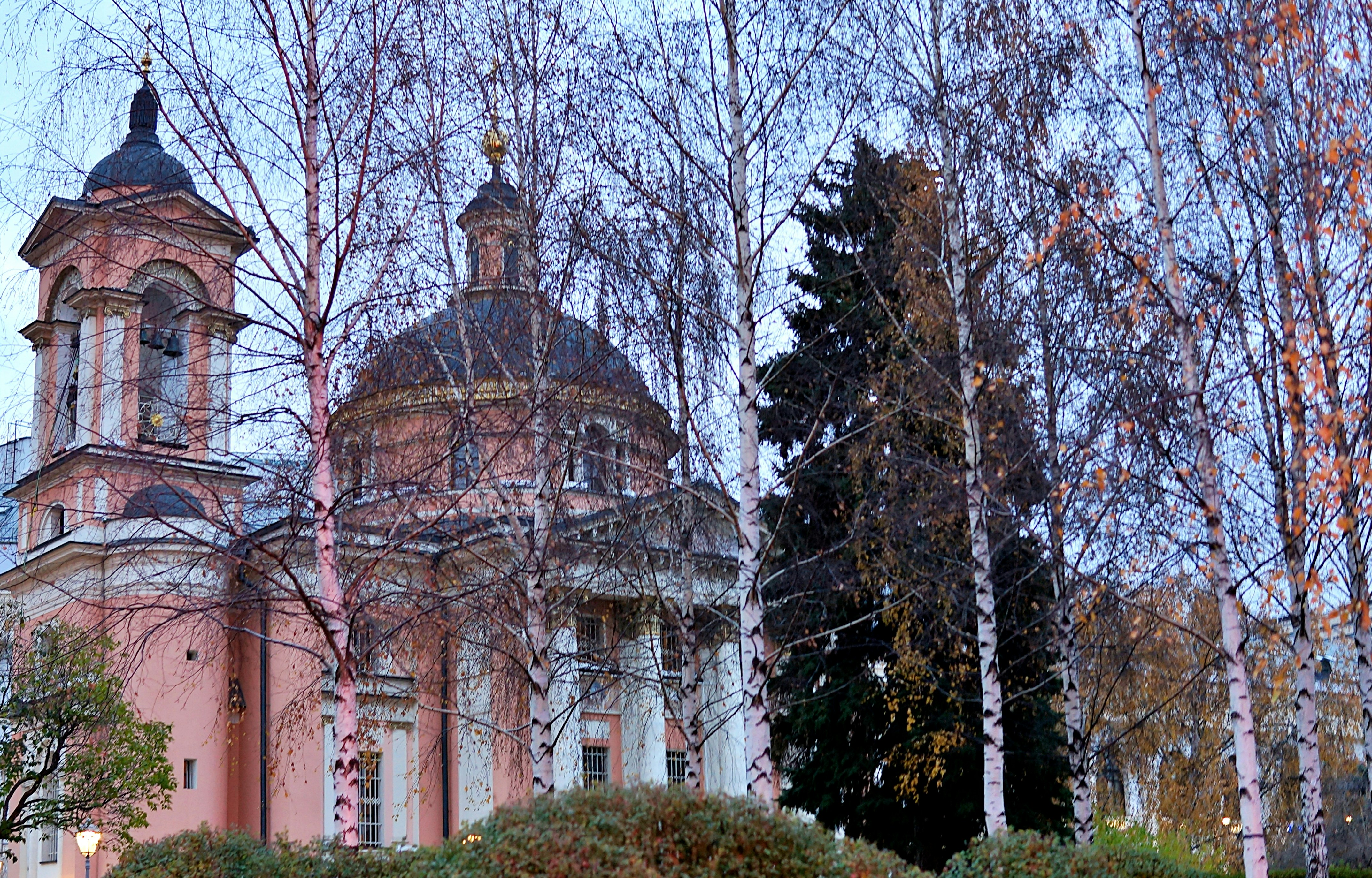 Pink church with dome and bell tower behind trees