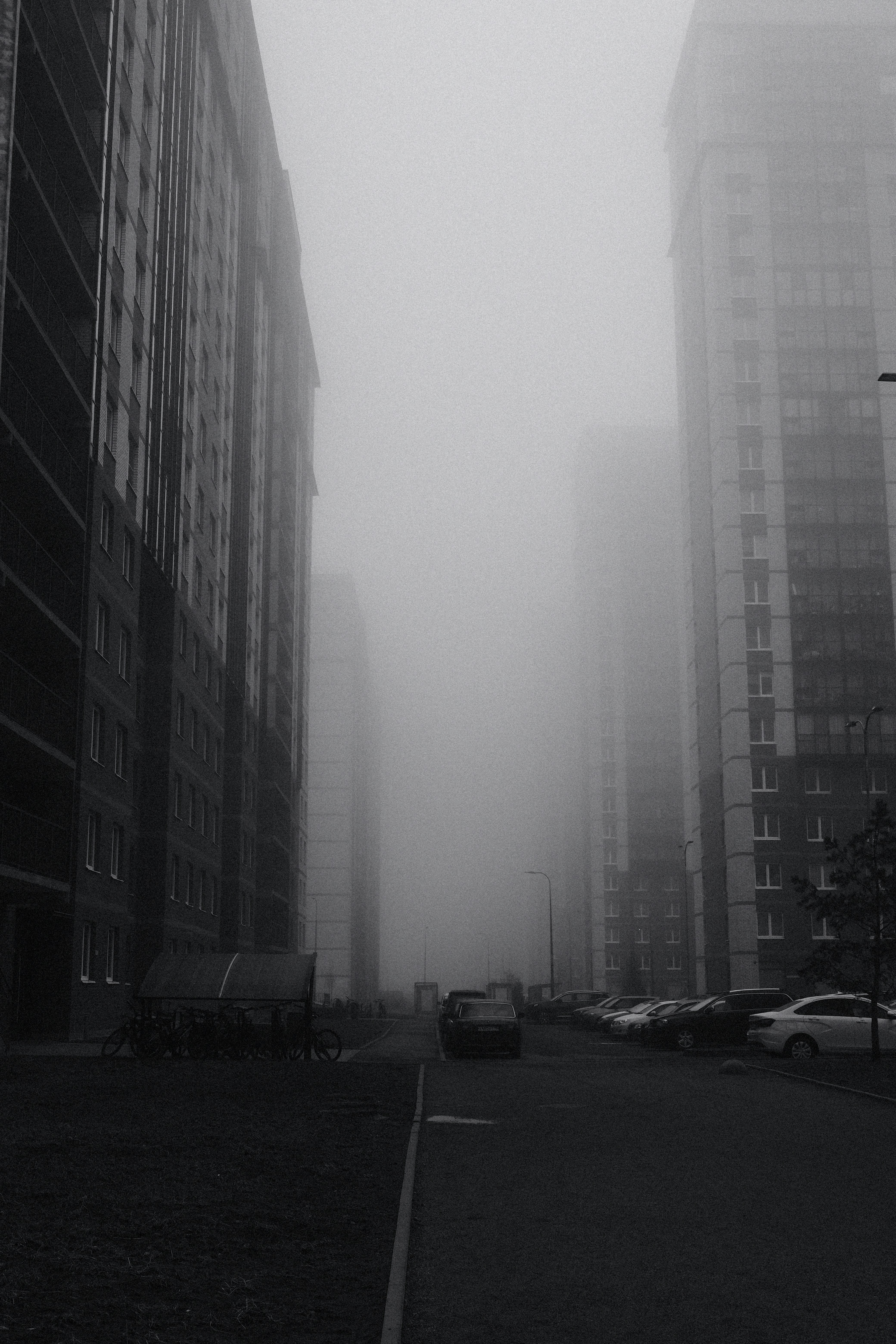 Tall apartment buildings shrouded in thick fog.