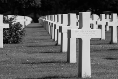 Row of white crosses in a cemetery
