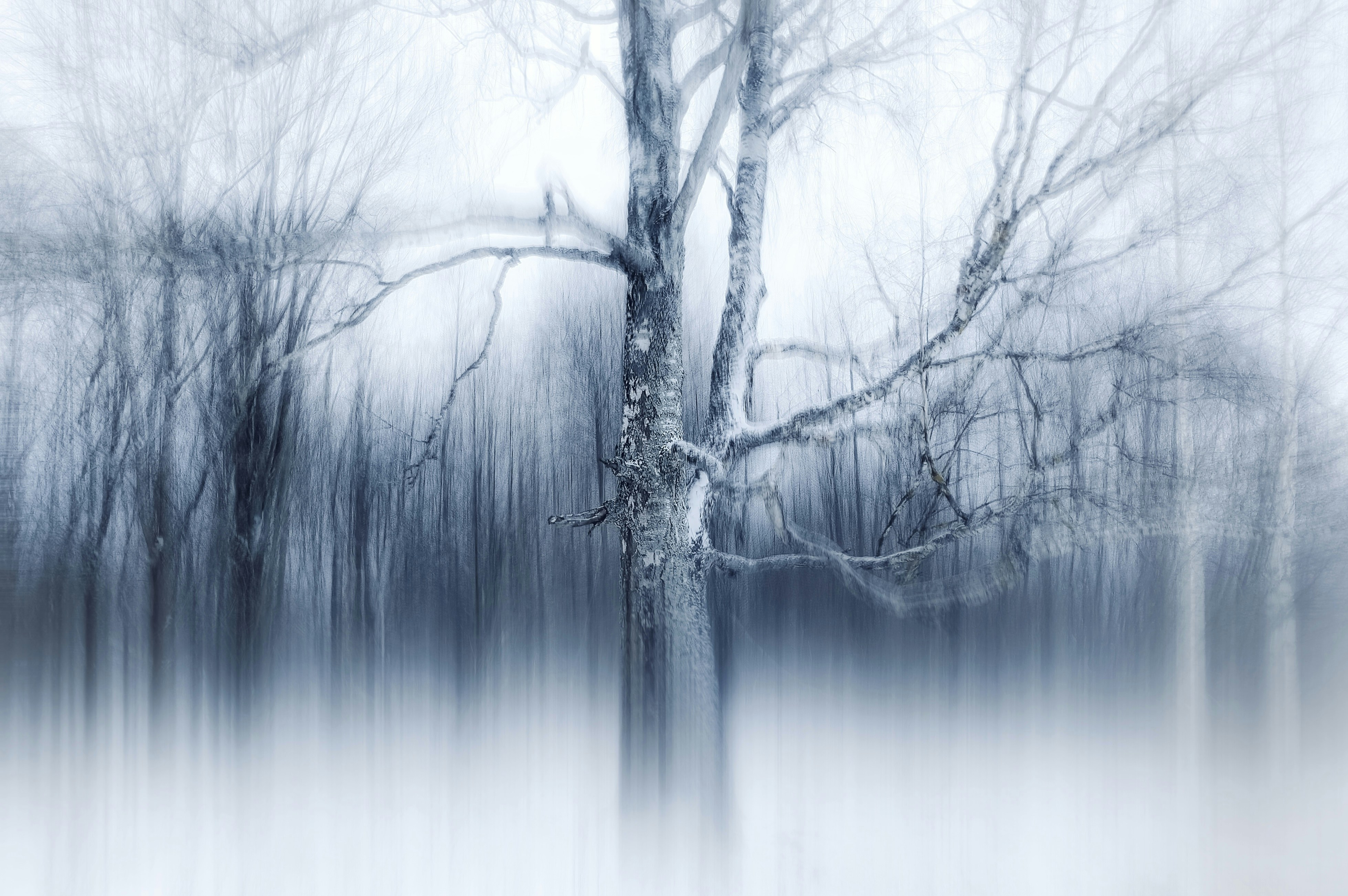 Photo by eugene_golovesov