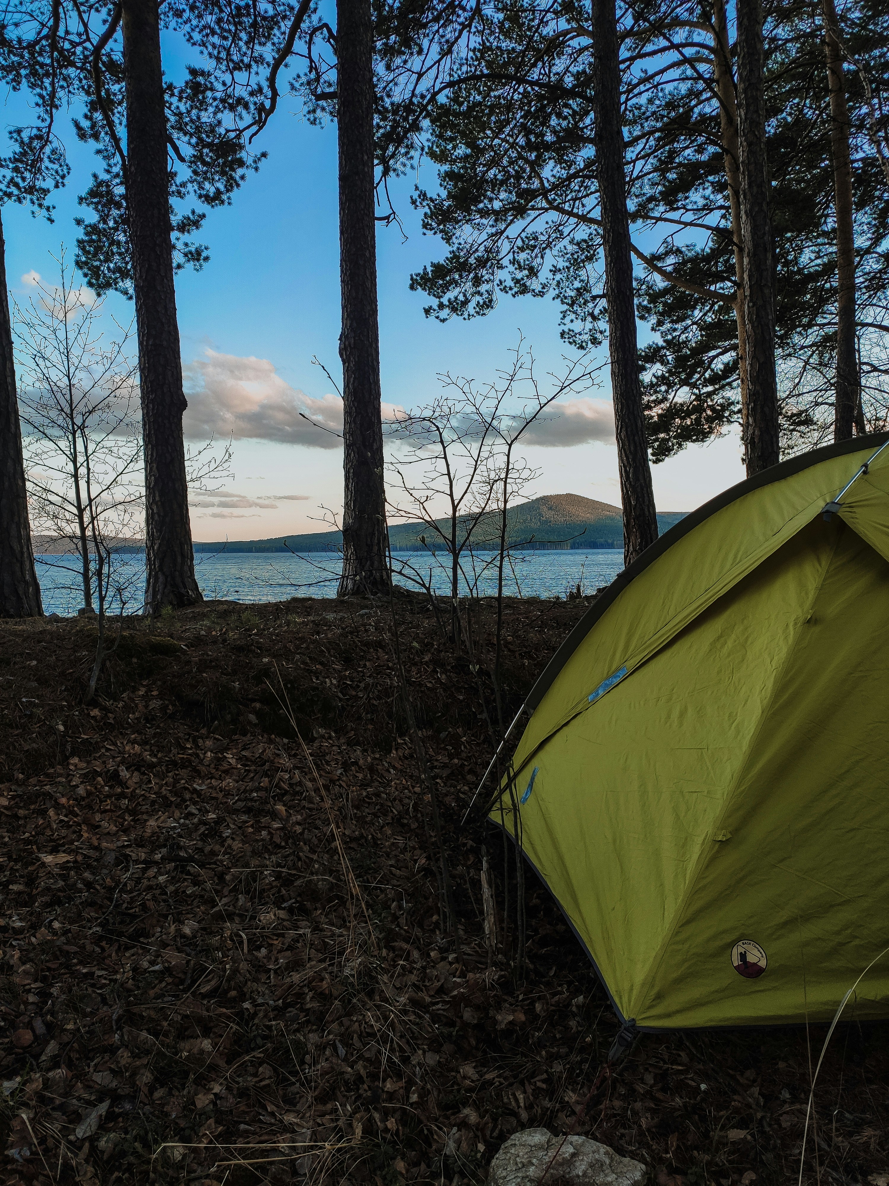 Camping tent forest floor, ilustrasi artikel Camping Essentials: How to Choose the Best Ground Cloth for Tent Protection 3