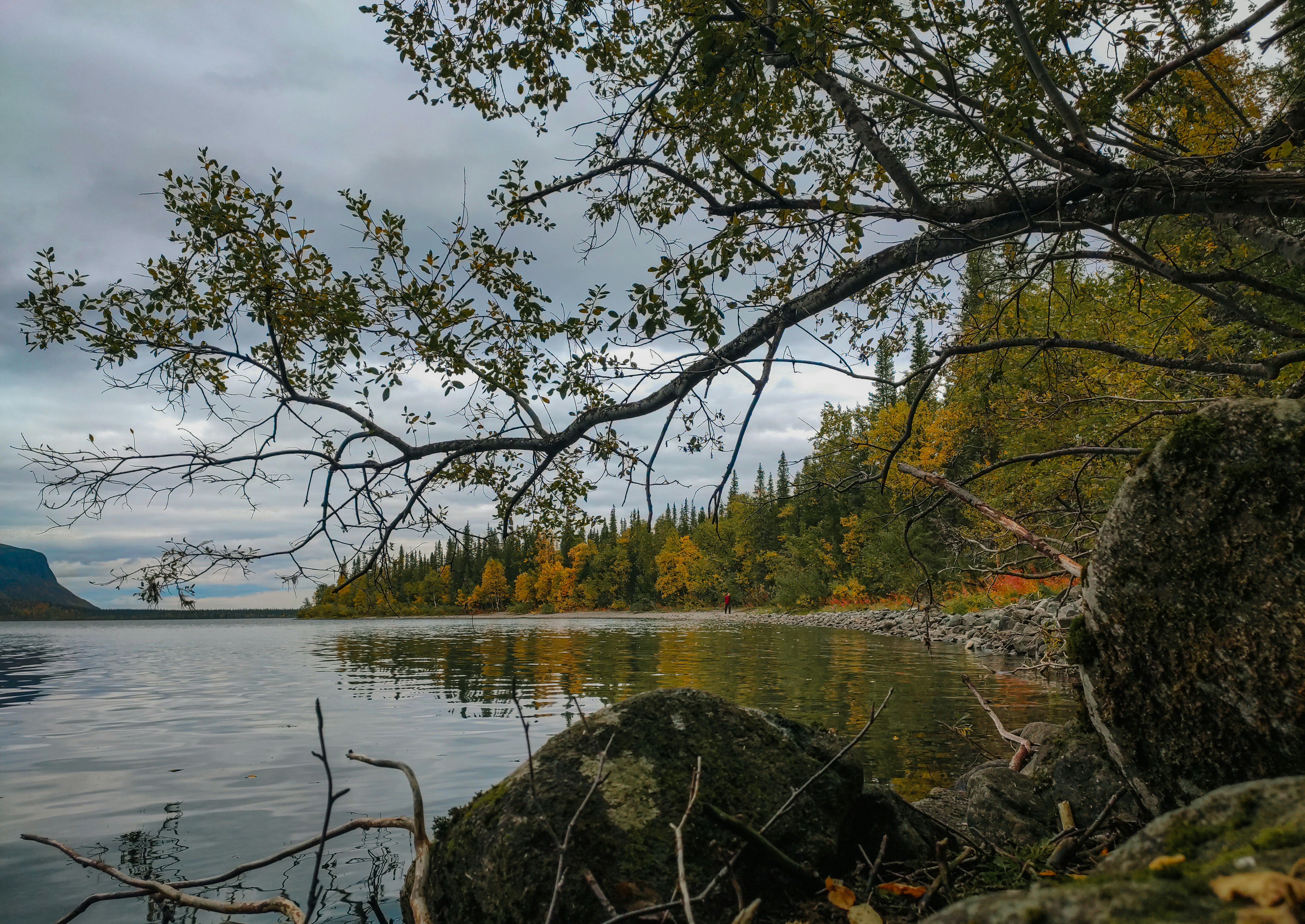 Mud, Midnight Sun, and Grit: Why the North Builds Tougher Kids