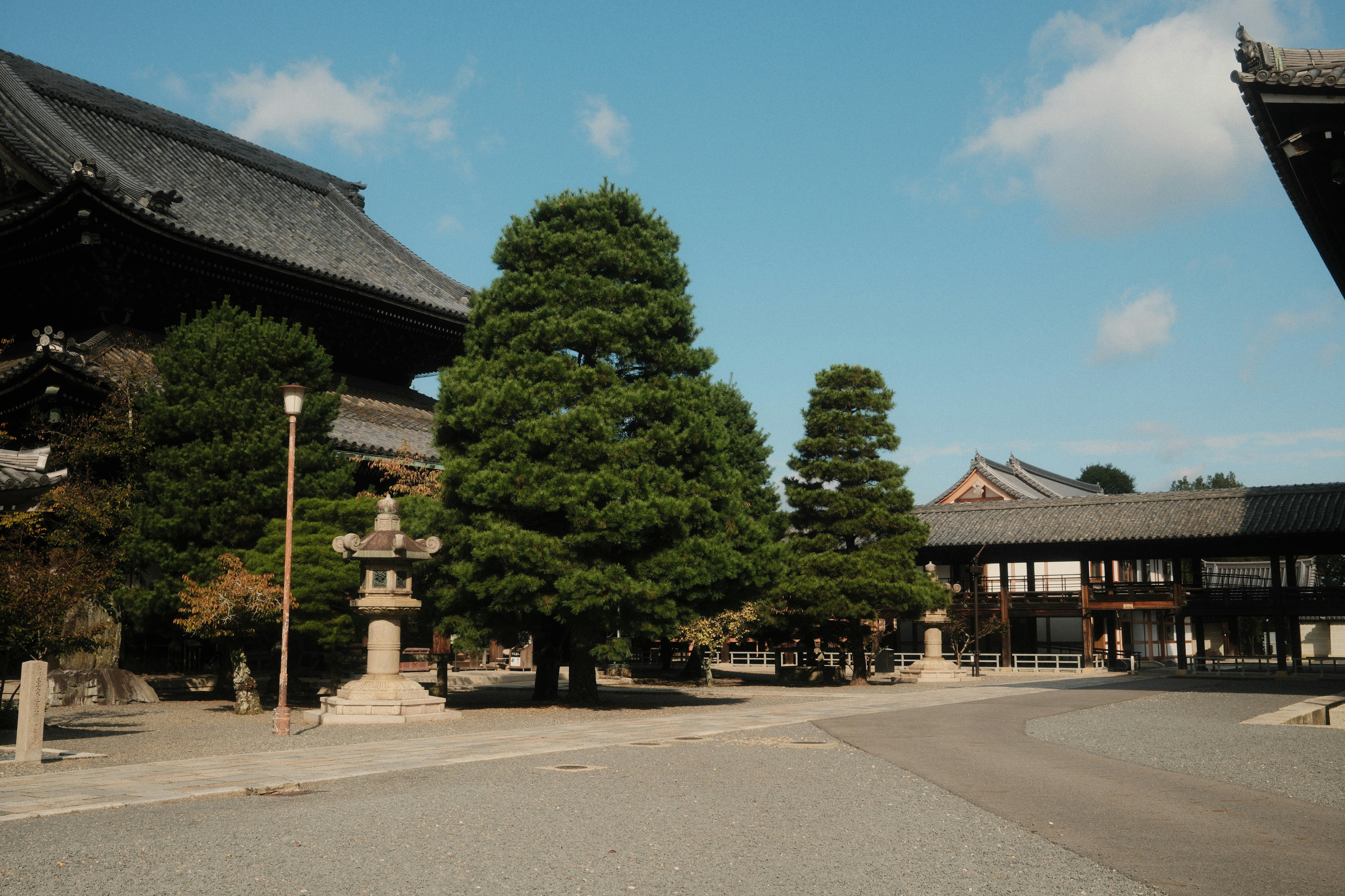 Traditional japanese temple buildings with tall trees.