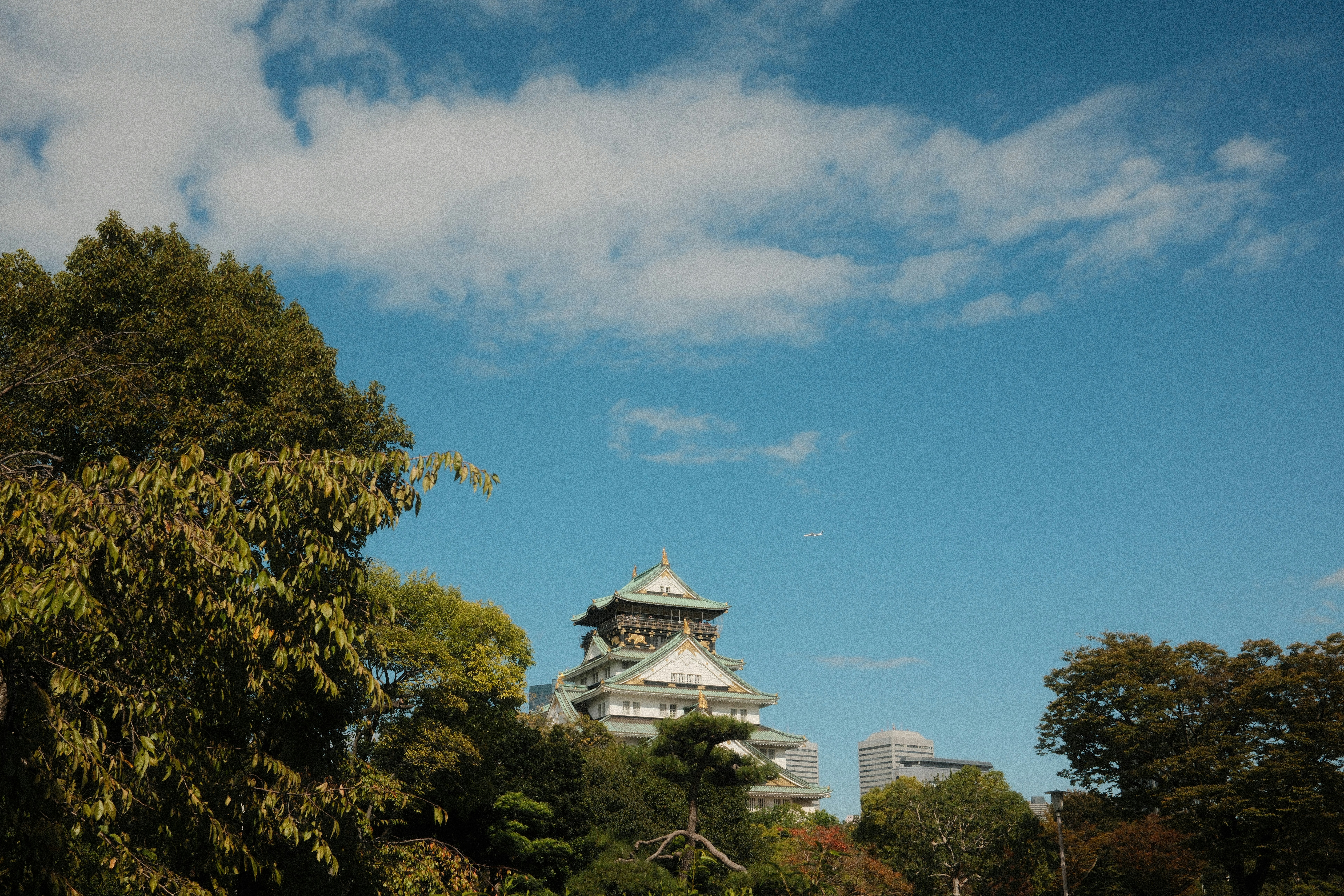A japanese castle surrounded by trees under a blue sky.