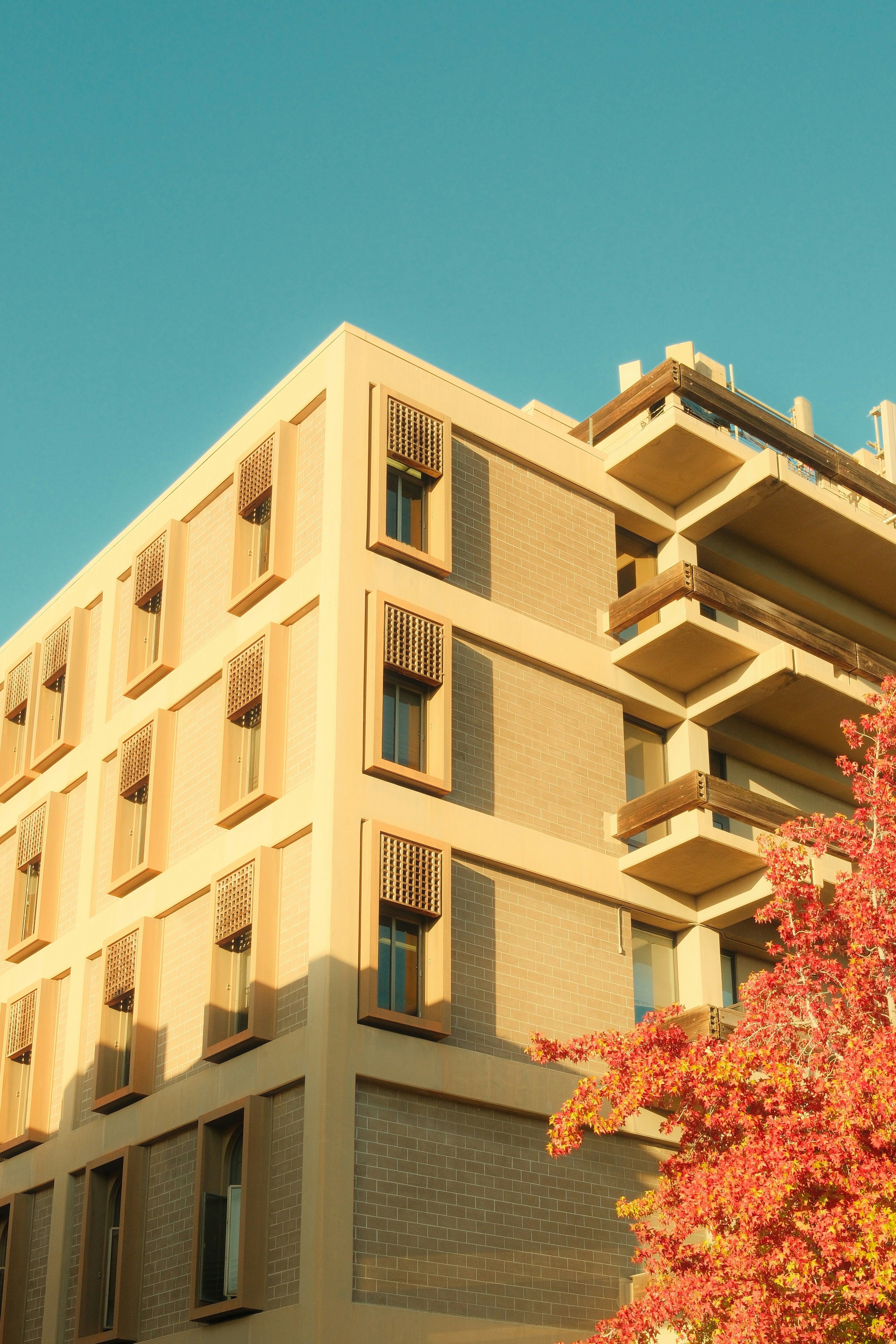 Modern building with balconies and autumn foliage.