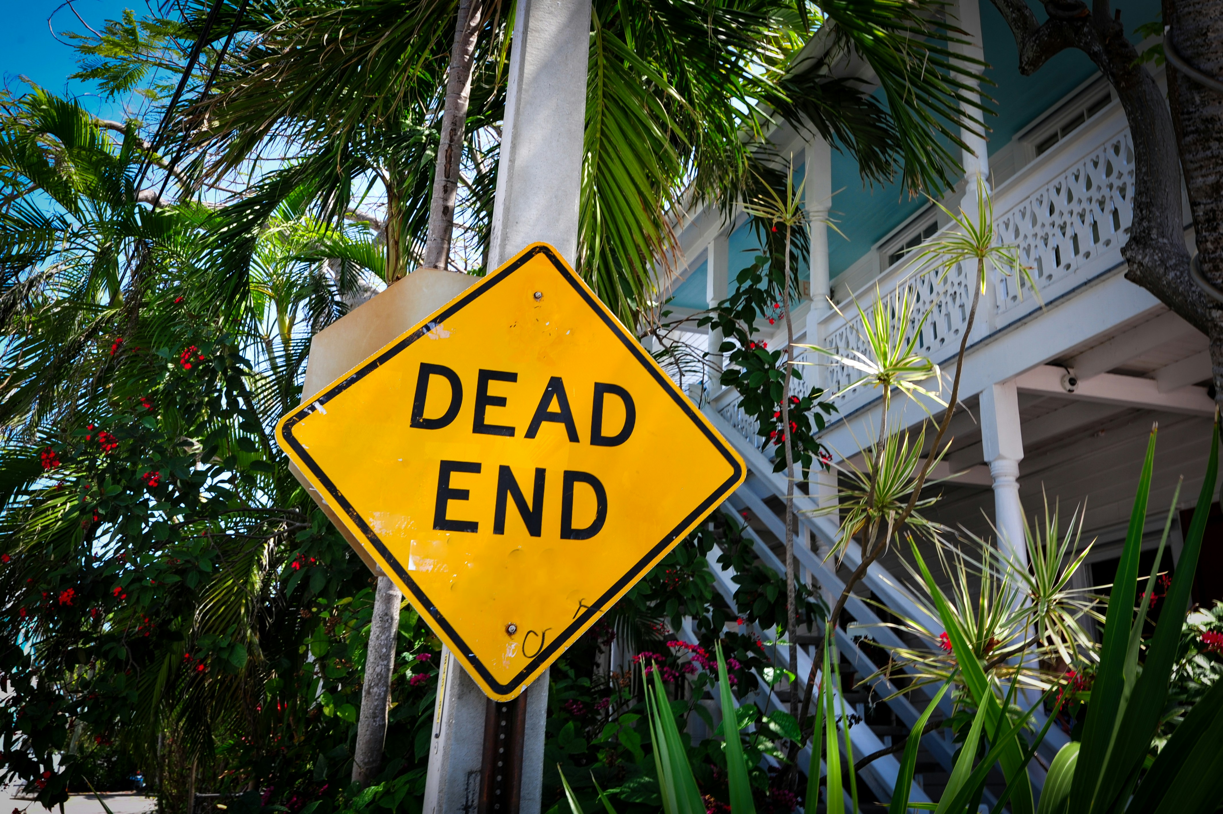 Kitchener's Housing Horizon 2026: Is This the 'New Normal,' or Just a Pause in the Rollercoaster Ride?