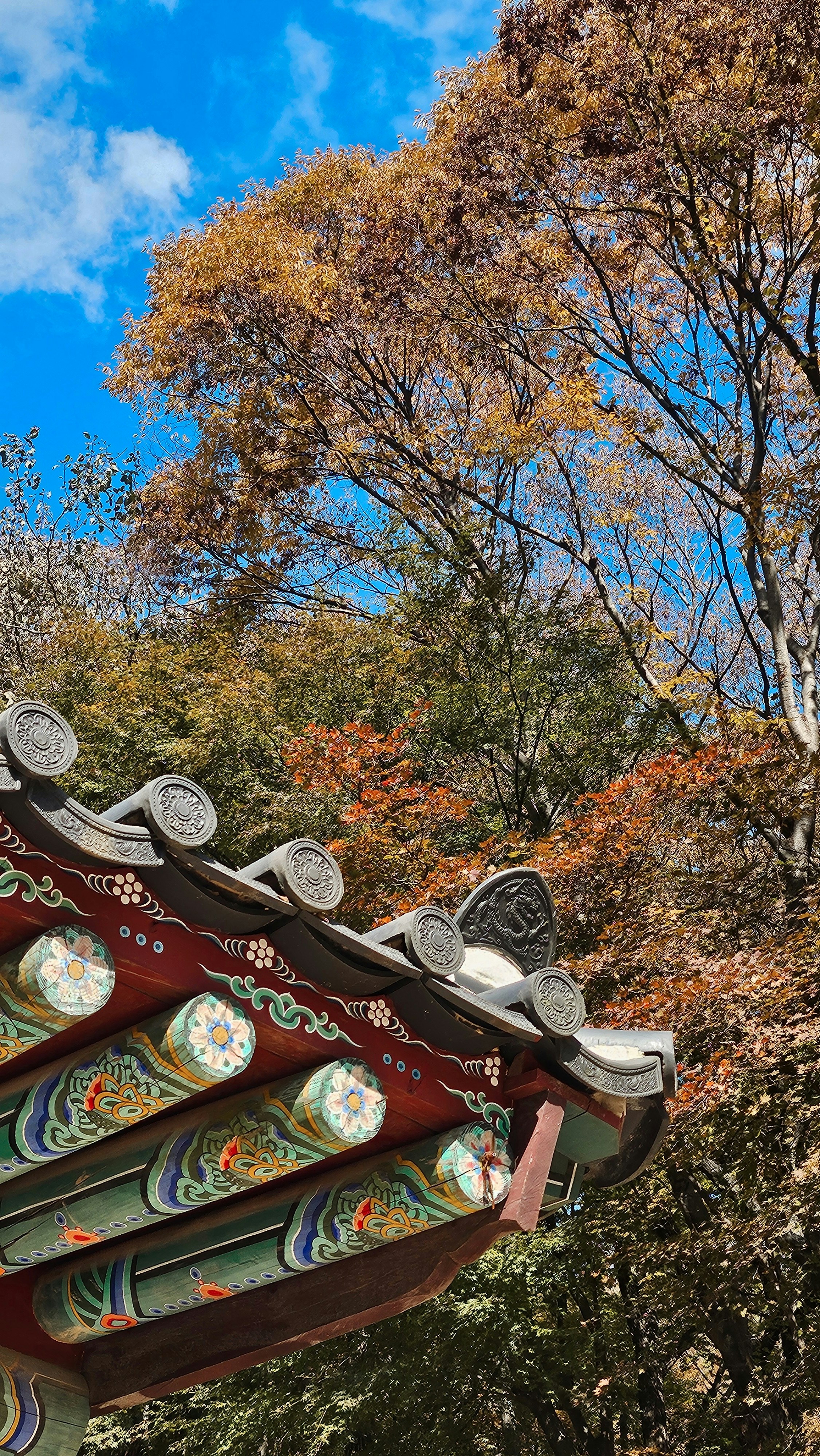 Ornate temple roof against autumn trees and blue sky.