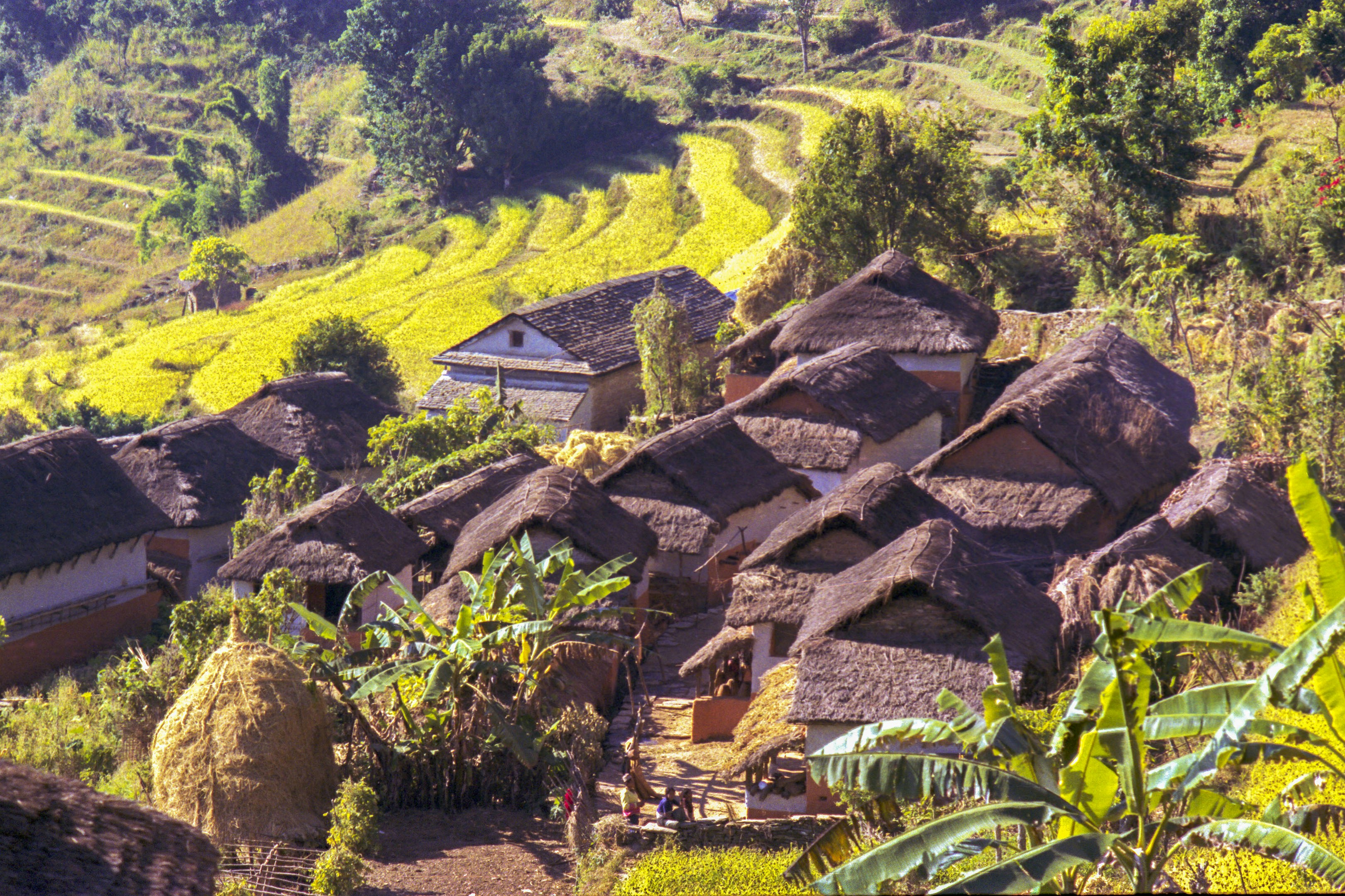 A diverse group of people working together on a community farm.