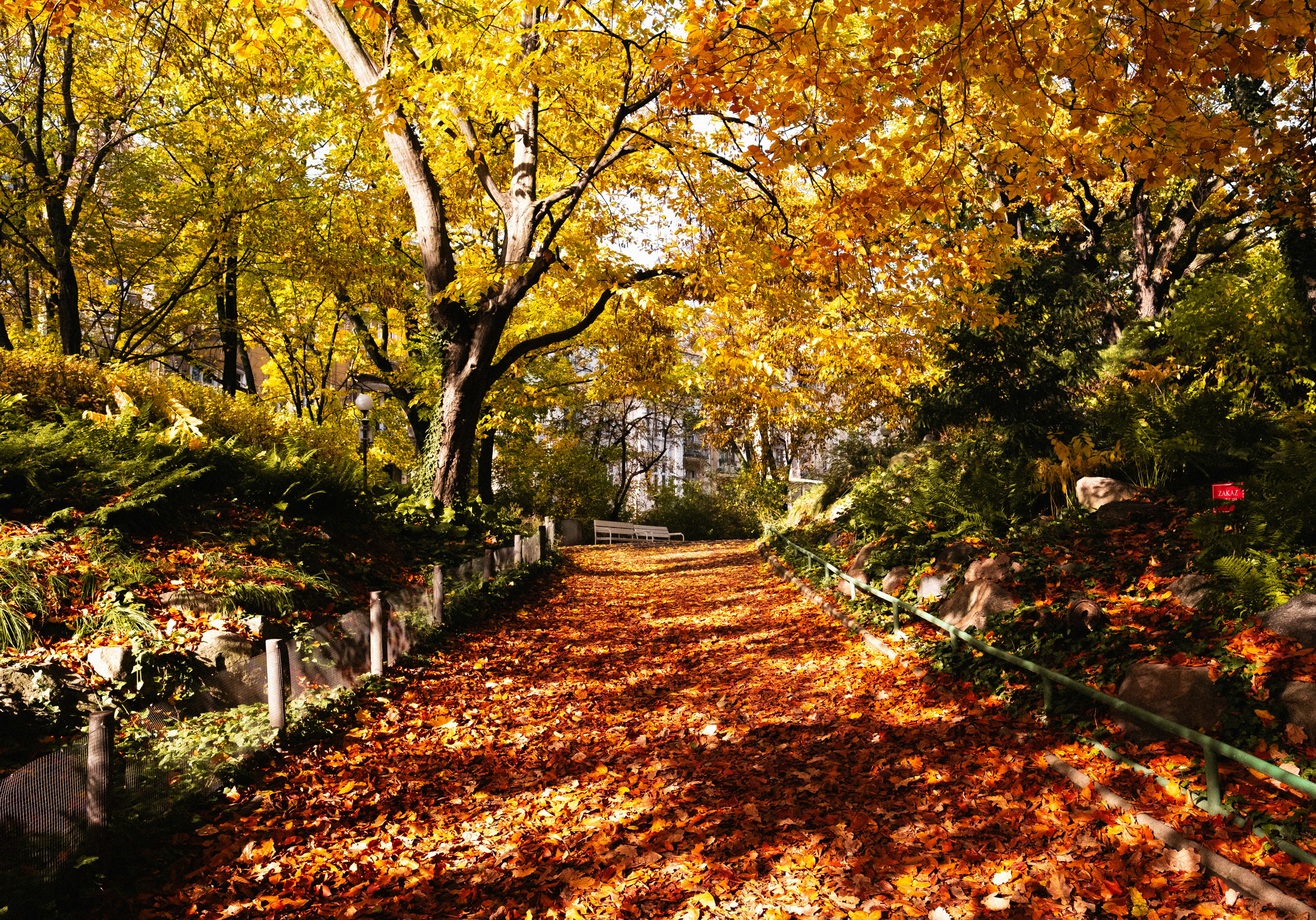 Photo by maksim_taawy