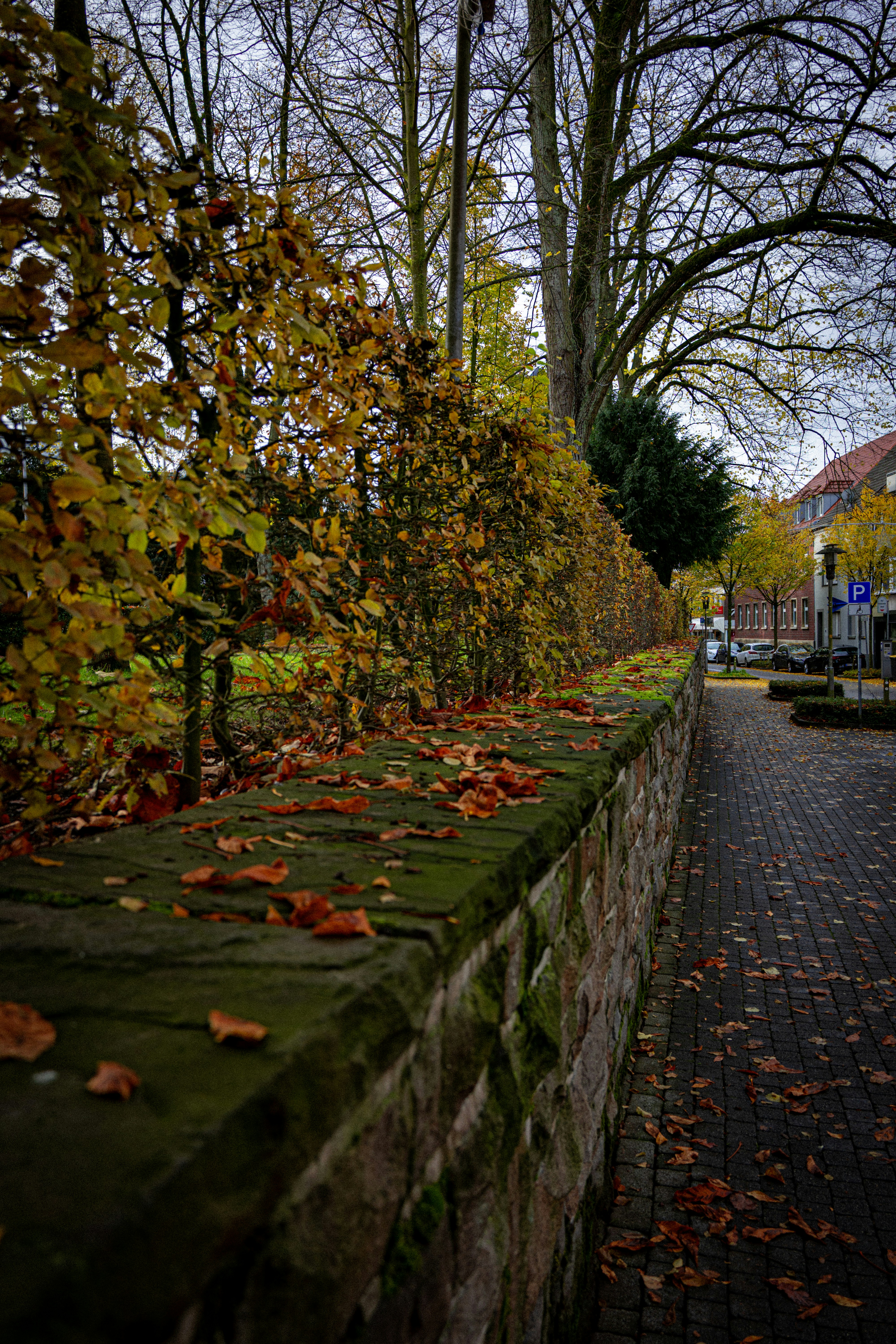 Photo by skstrannik