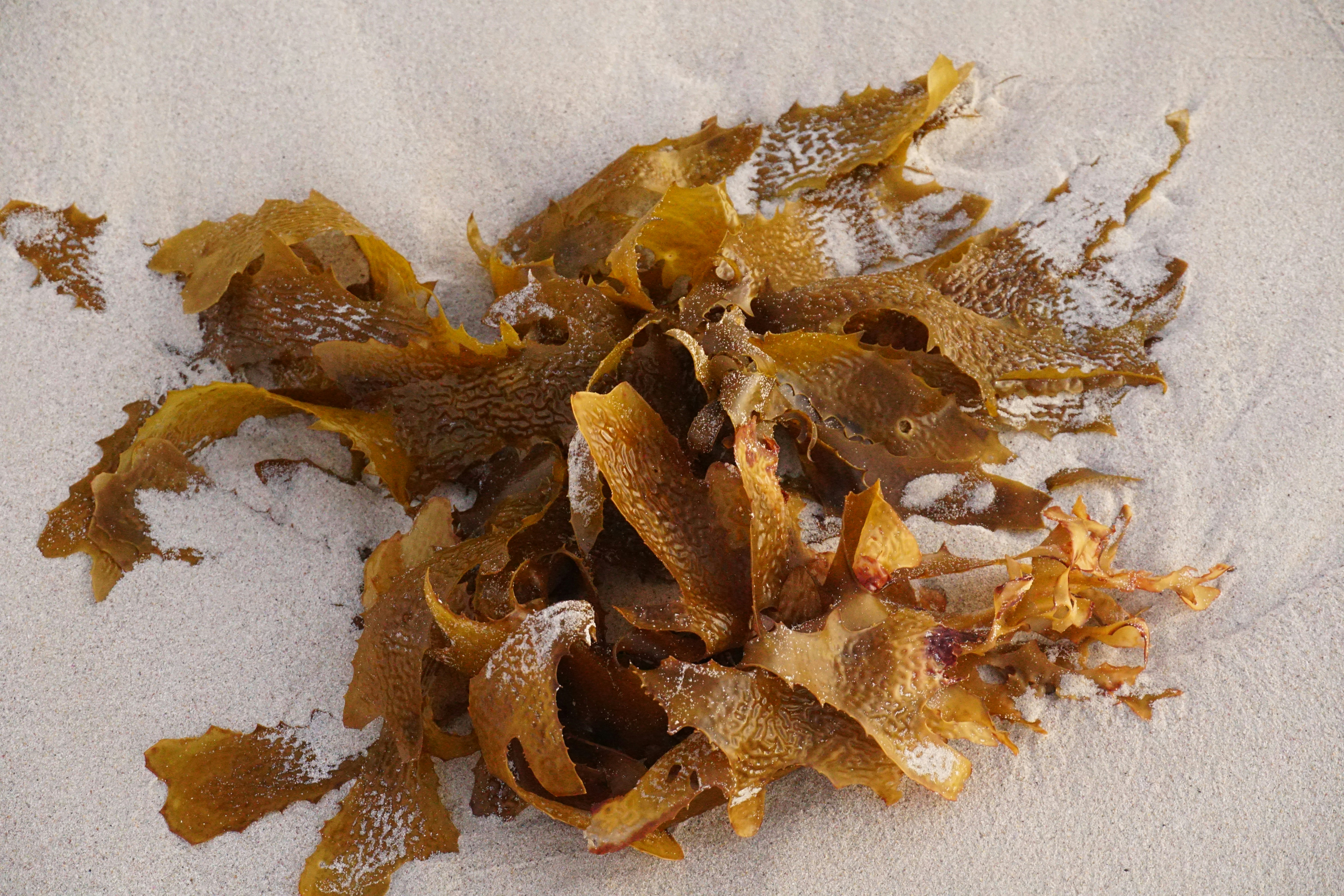 Photo by qld_traveller