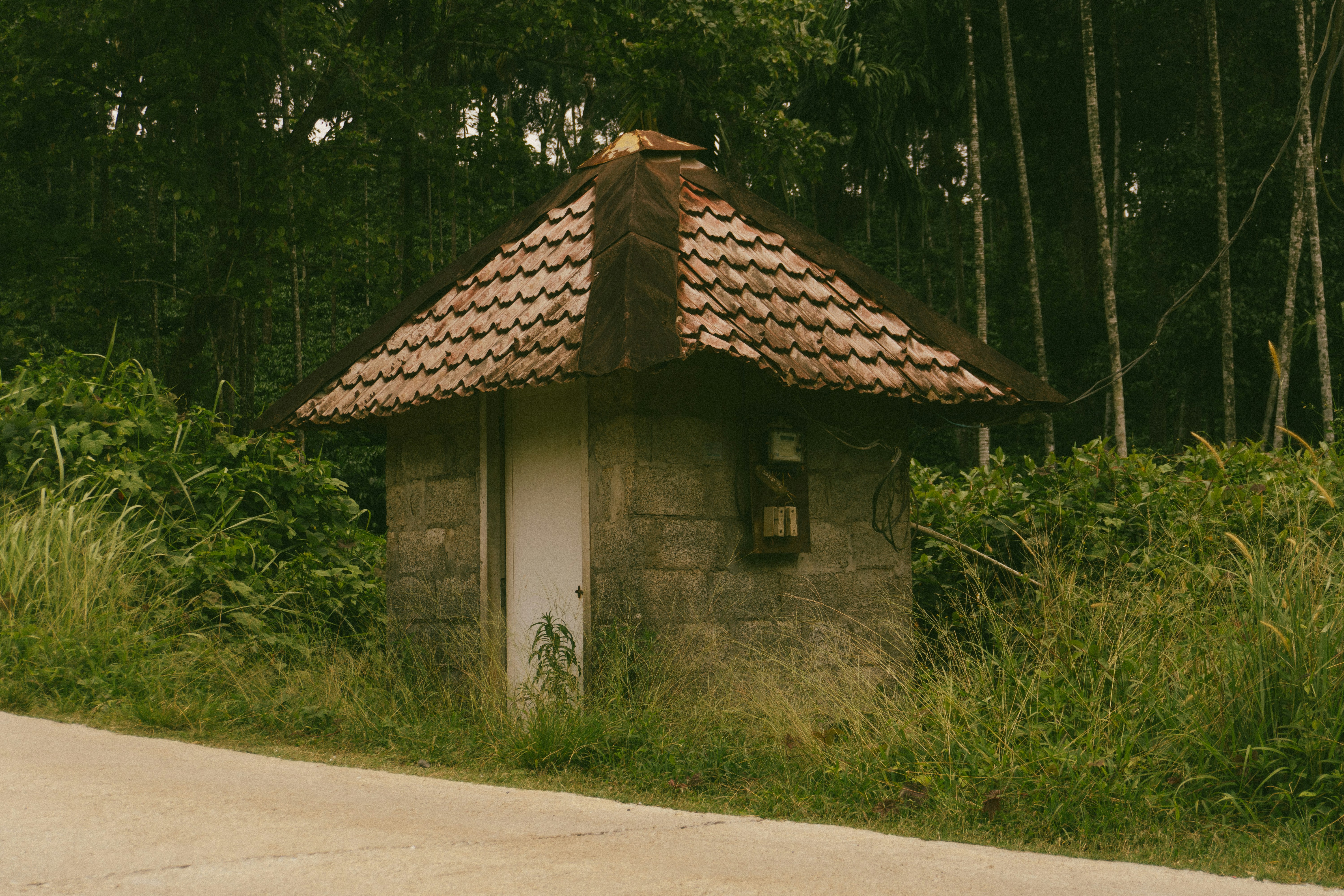 Small stone building with tiled roof surrounded by greenery