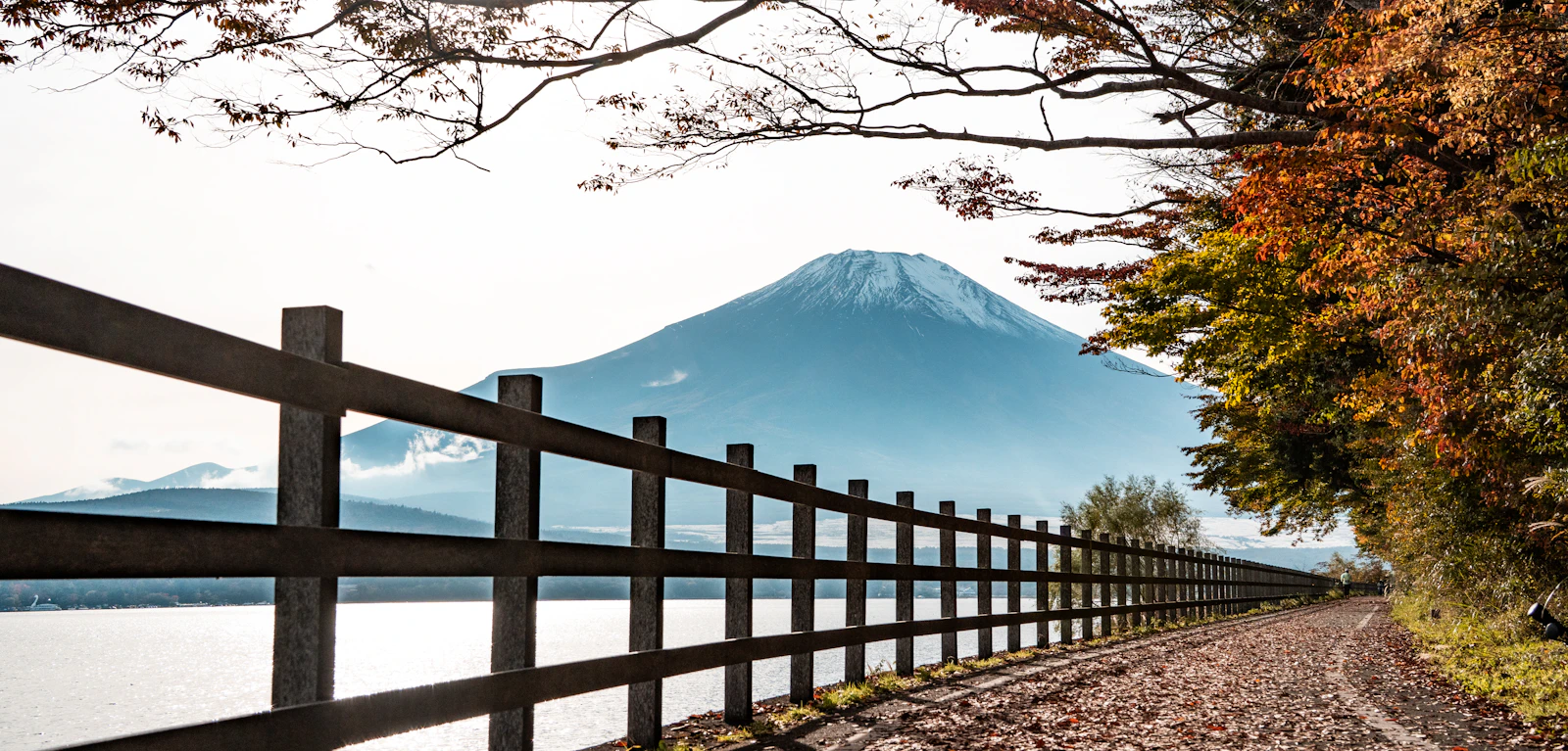 紅葉と木柵の向こうに見える富士山