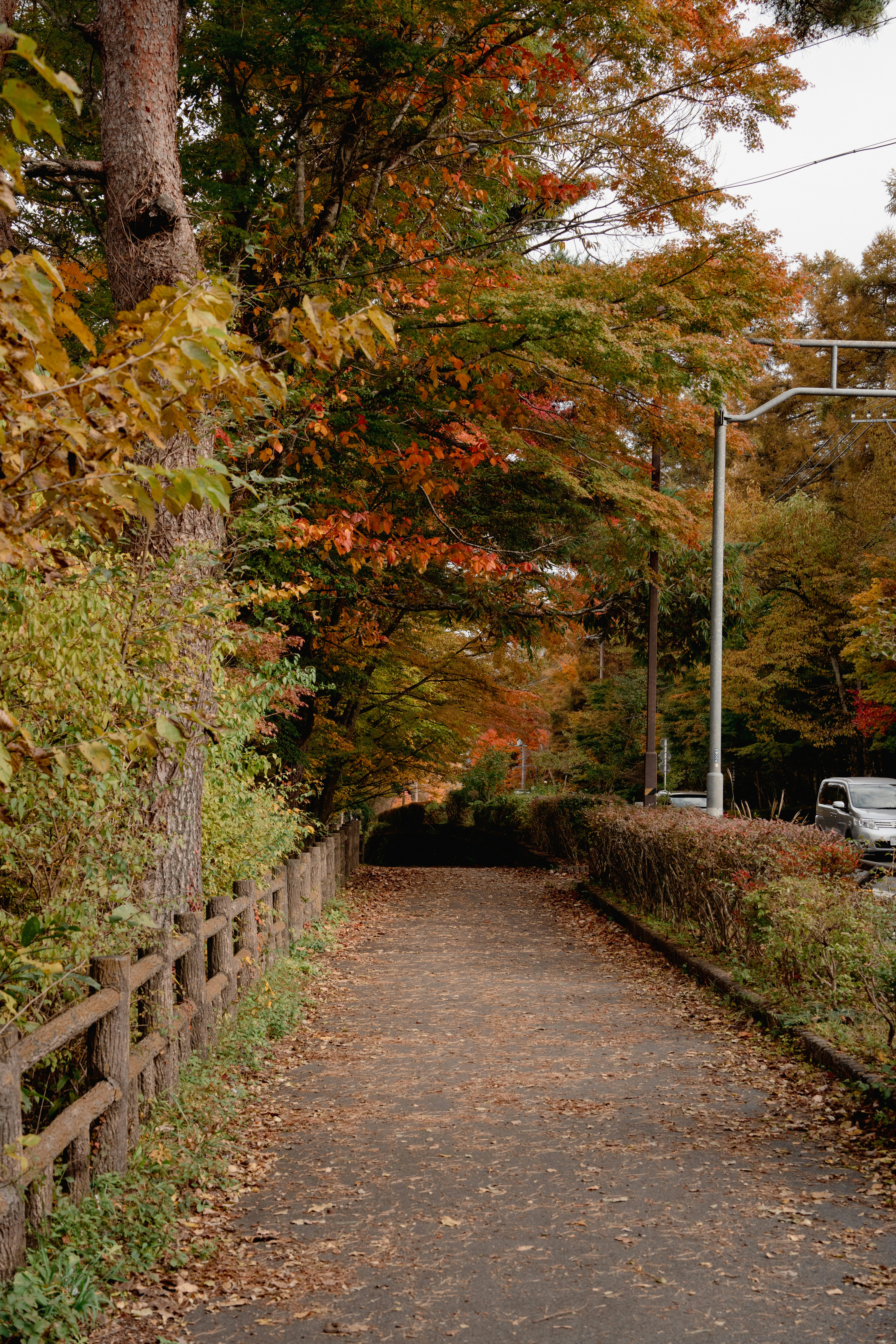Photo by kngstm