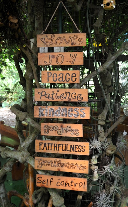 Wooden signs with virtues hanging on a tree