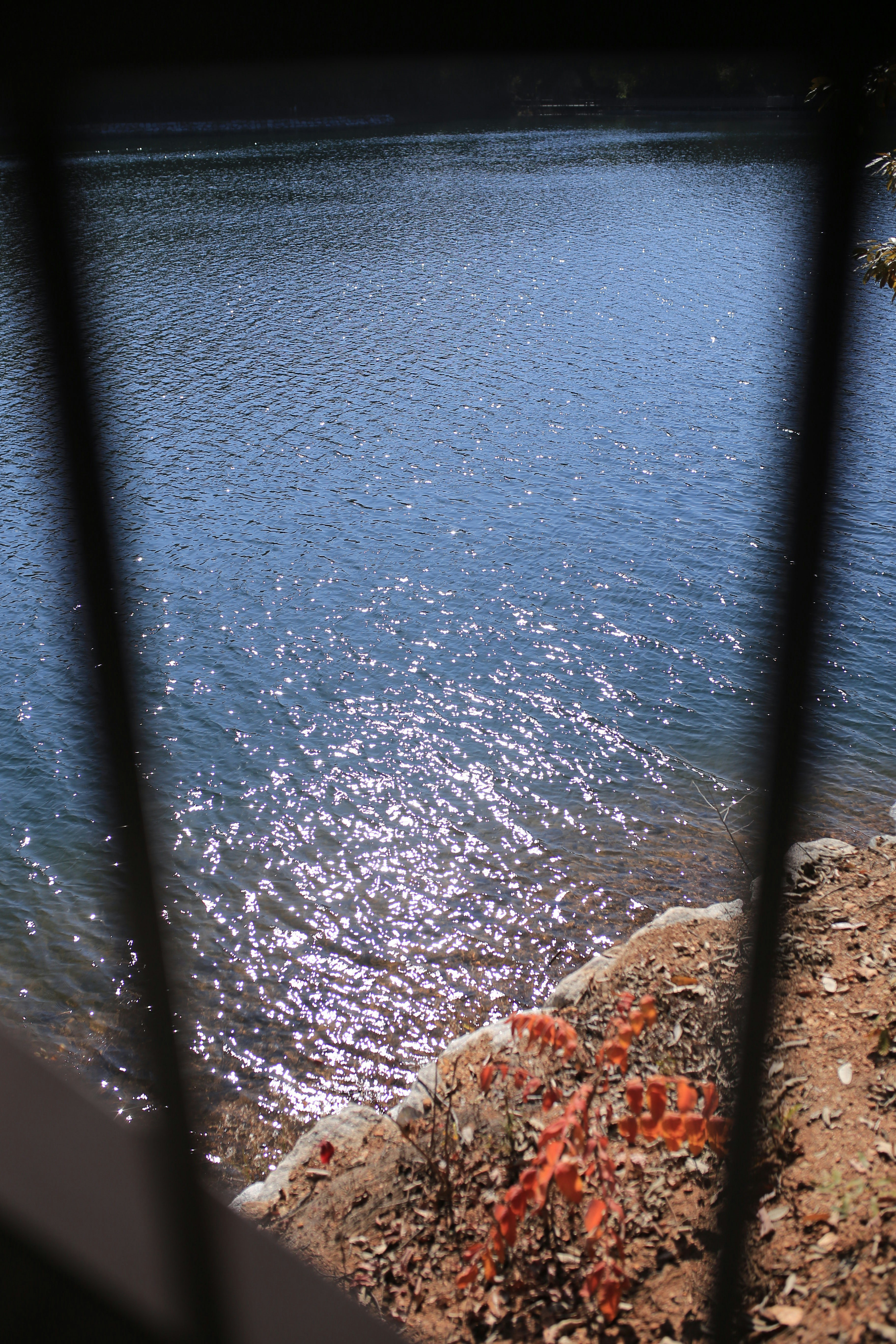 Sparkling blue water by a rocky shore.