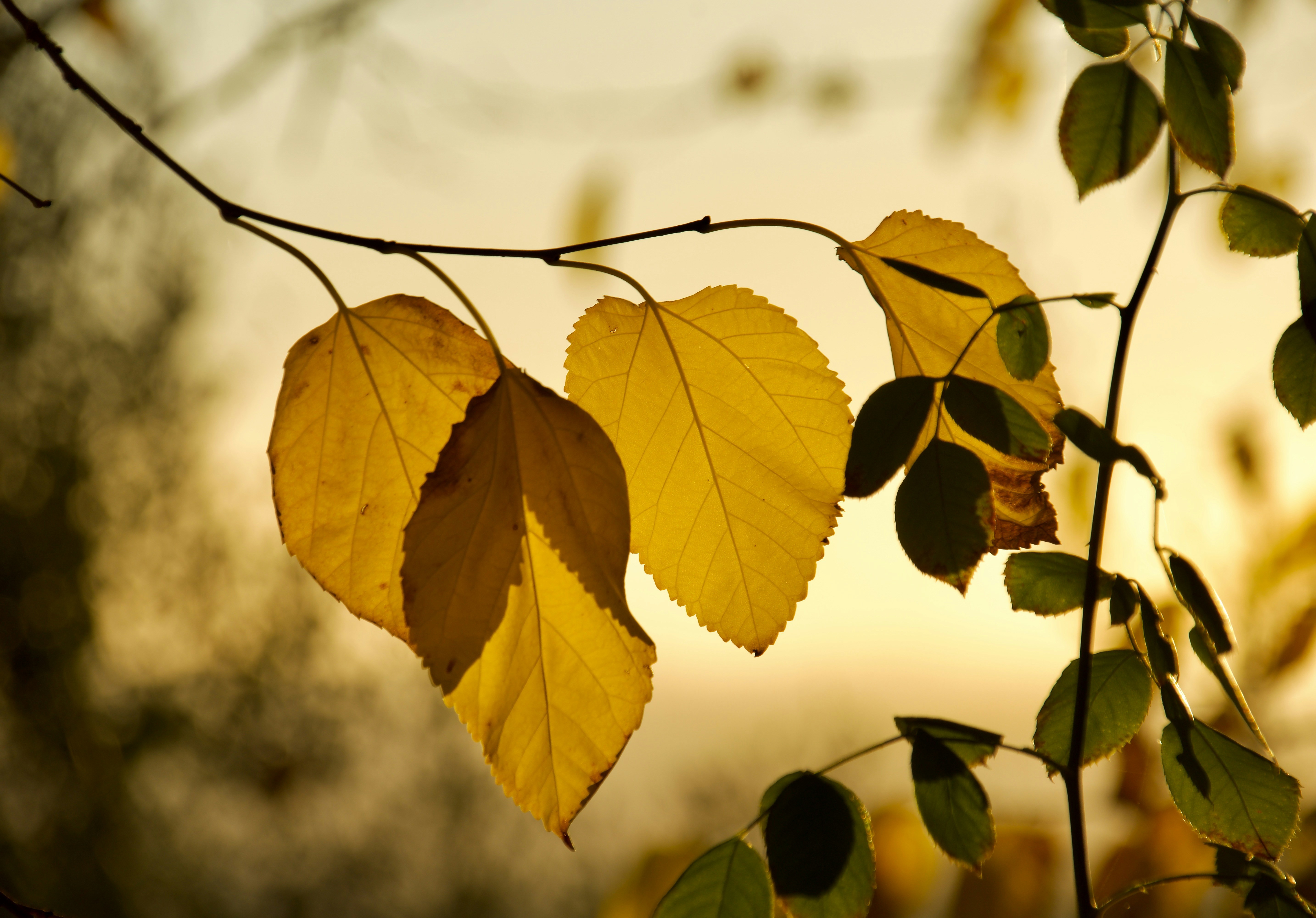 Photo by mariobeducci