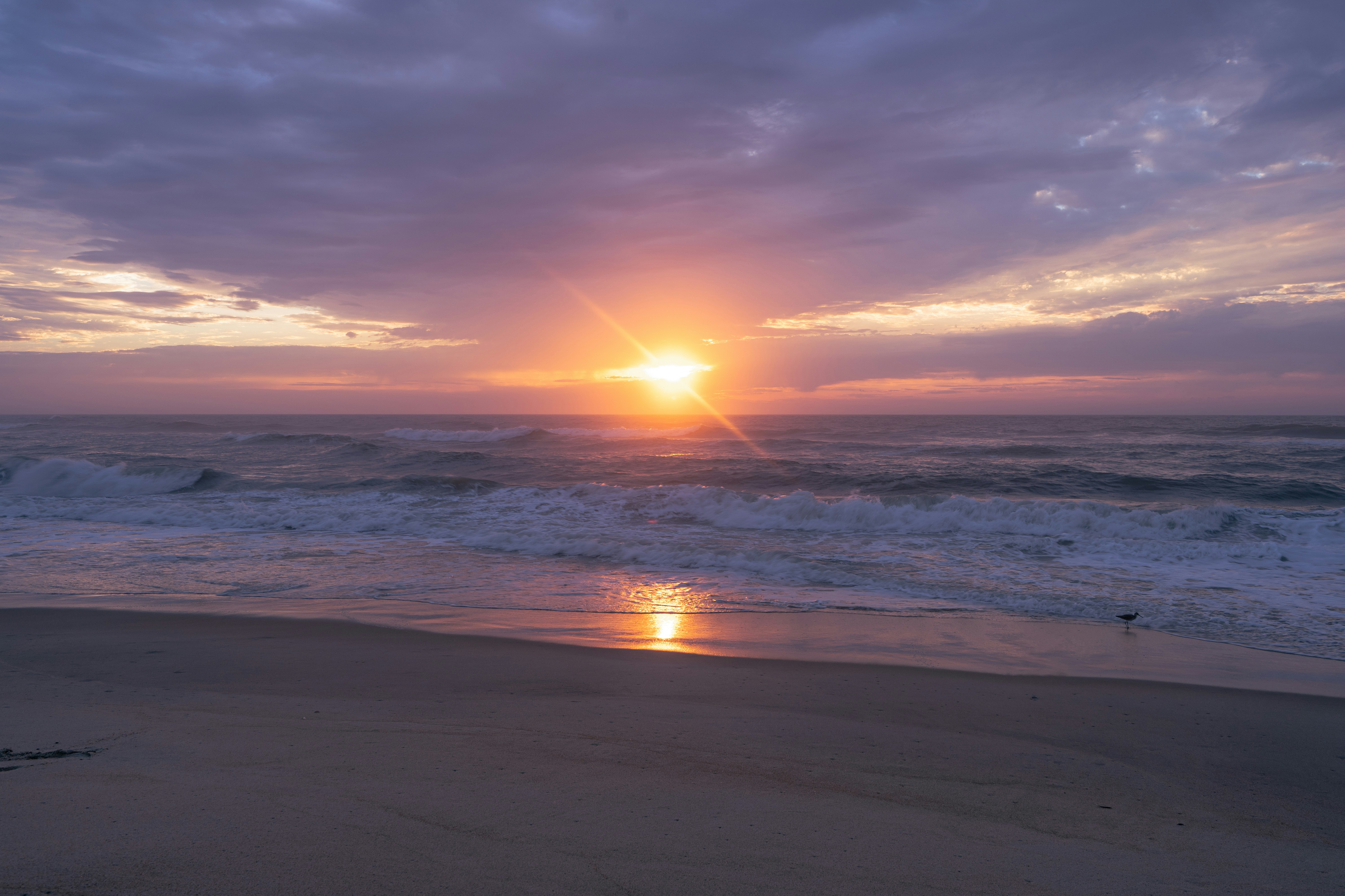 Photo by tfarrelljjr