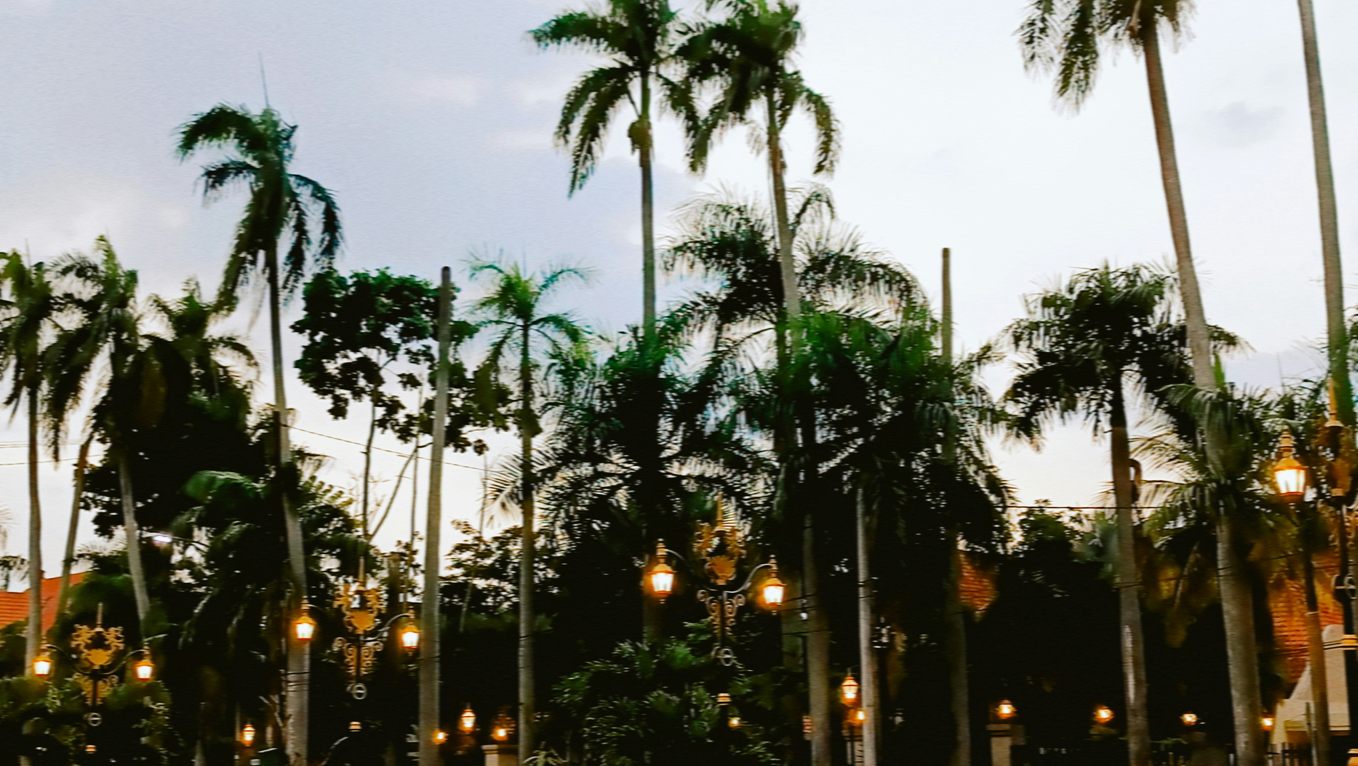 Photo by farhan_m_adyatma