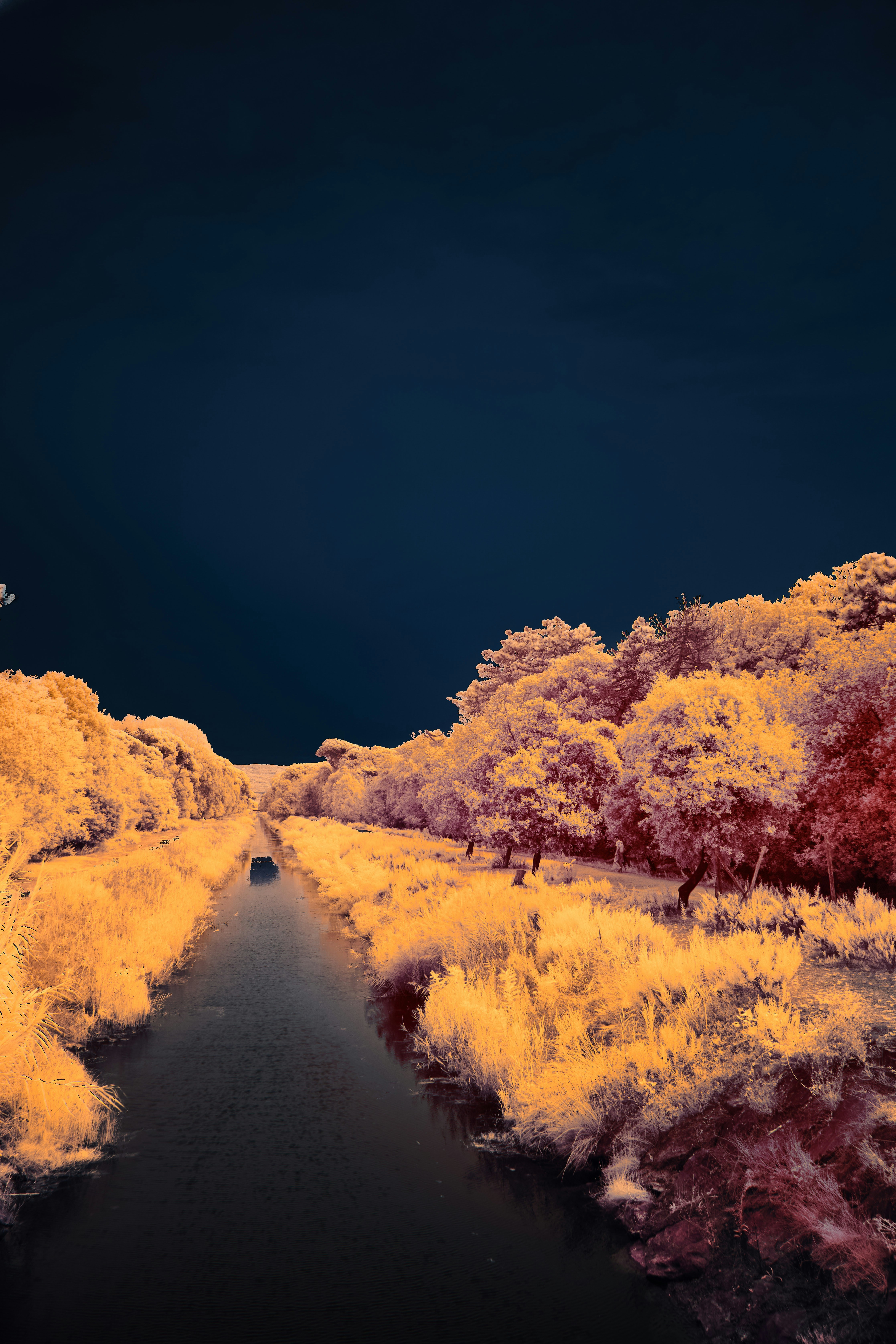 Photo by wolfgang_hasselmann