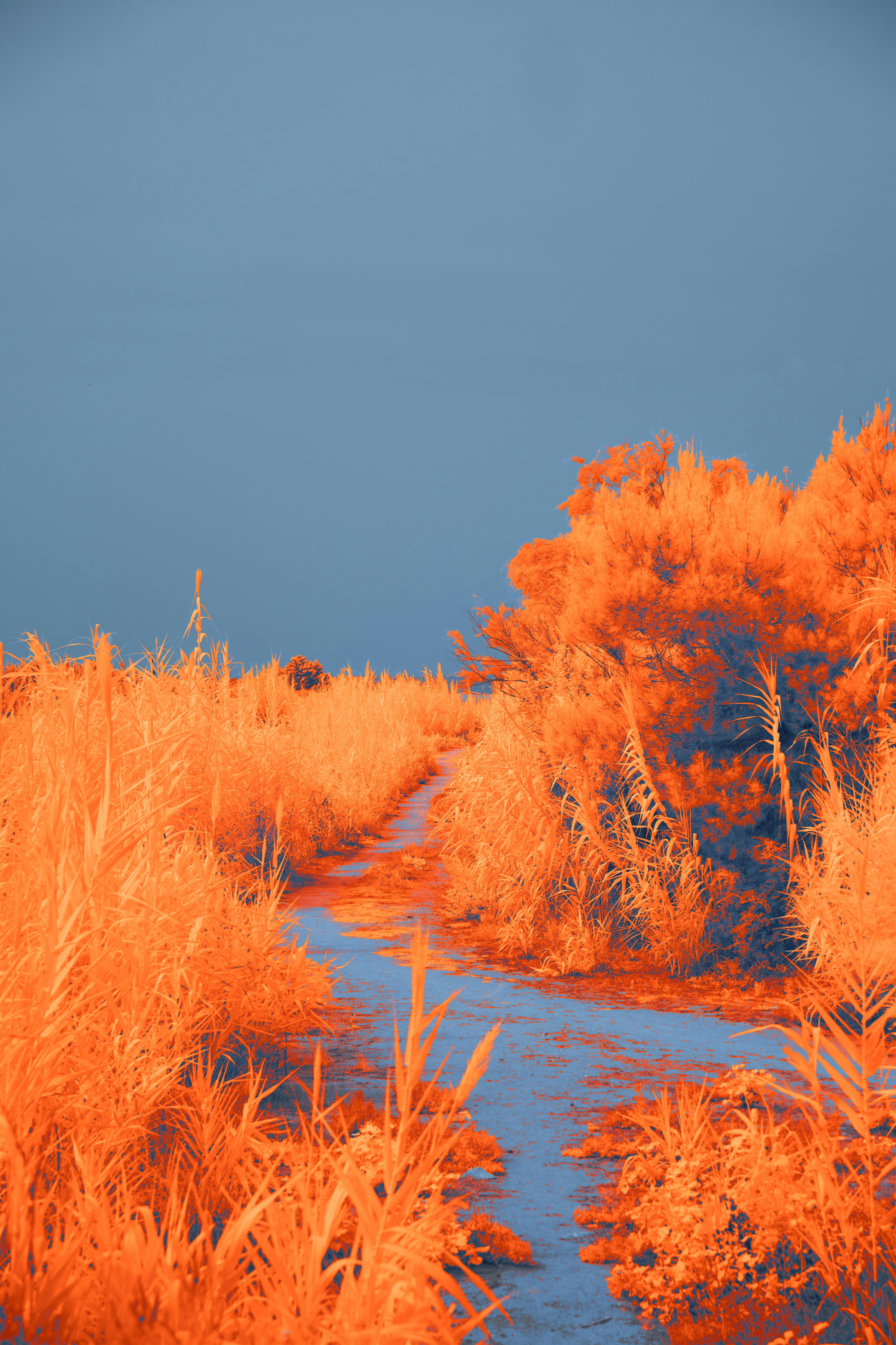 Photo by wolfgang_hasselmann