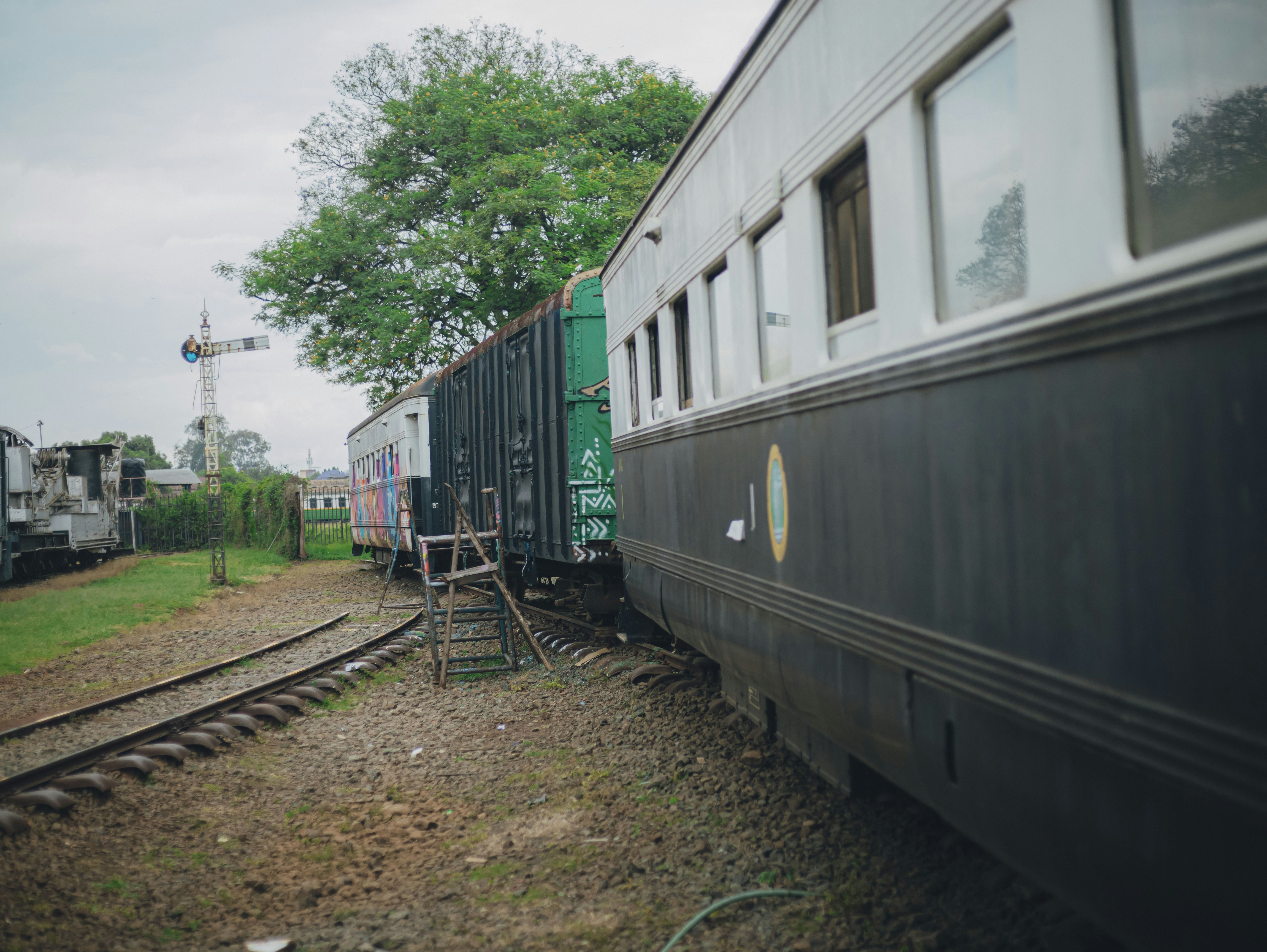 Photo by madness_leahcim_