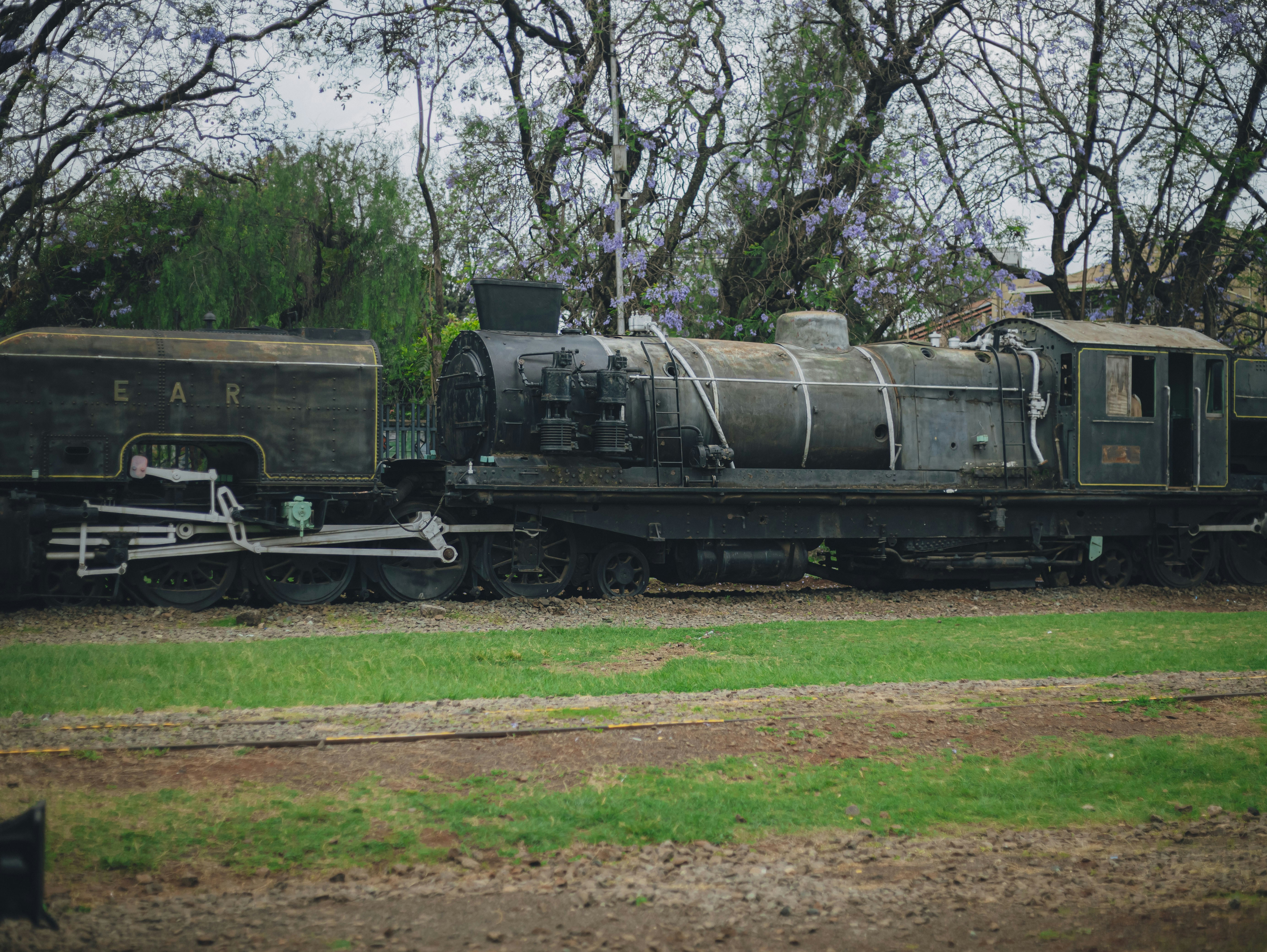 Parque Ex estación del tren Ameca