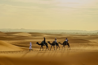 People riding camels through desert sand dunes