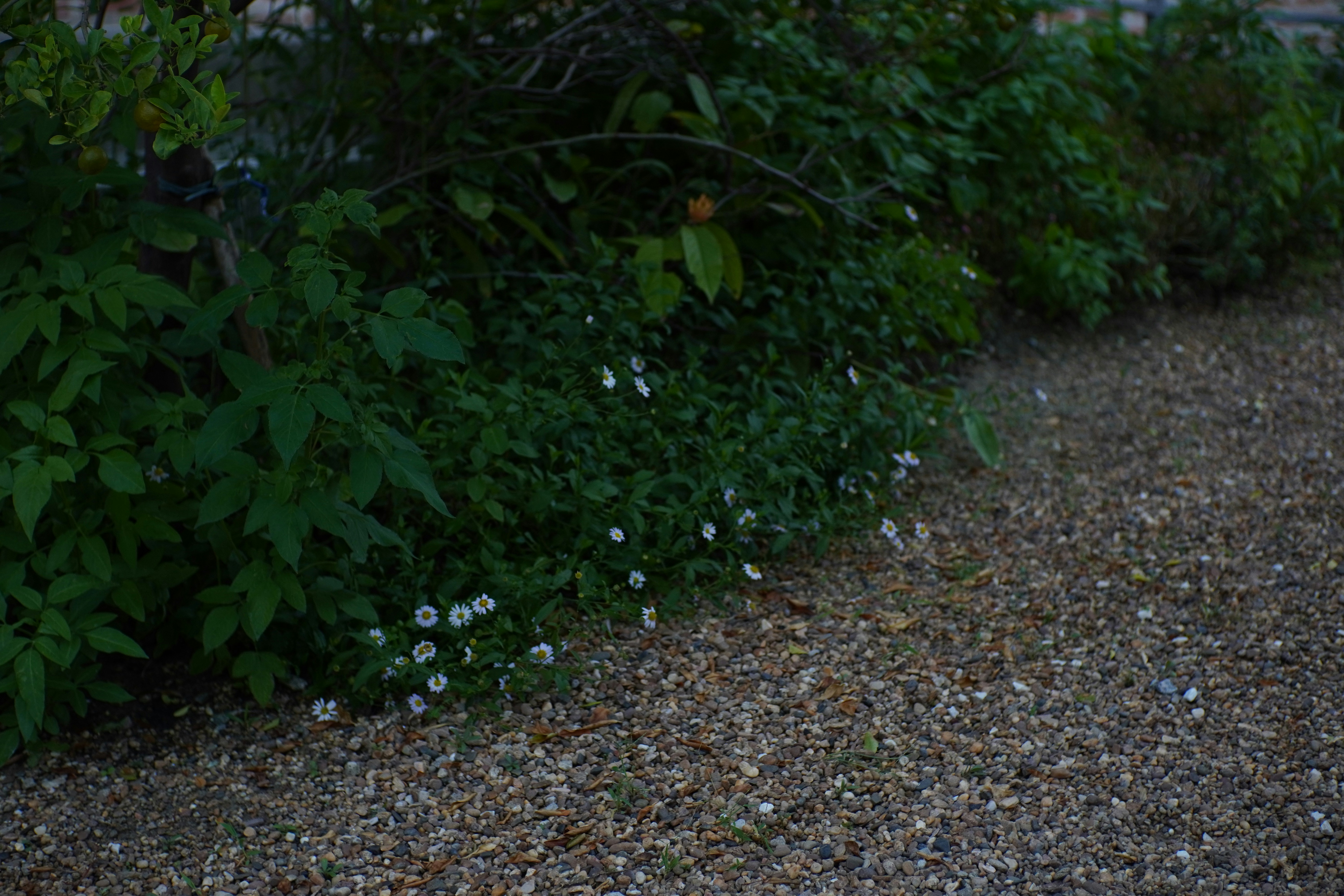 Pea gravel or crushed stone
