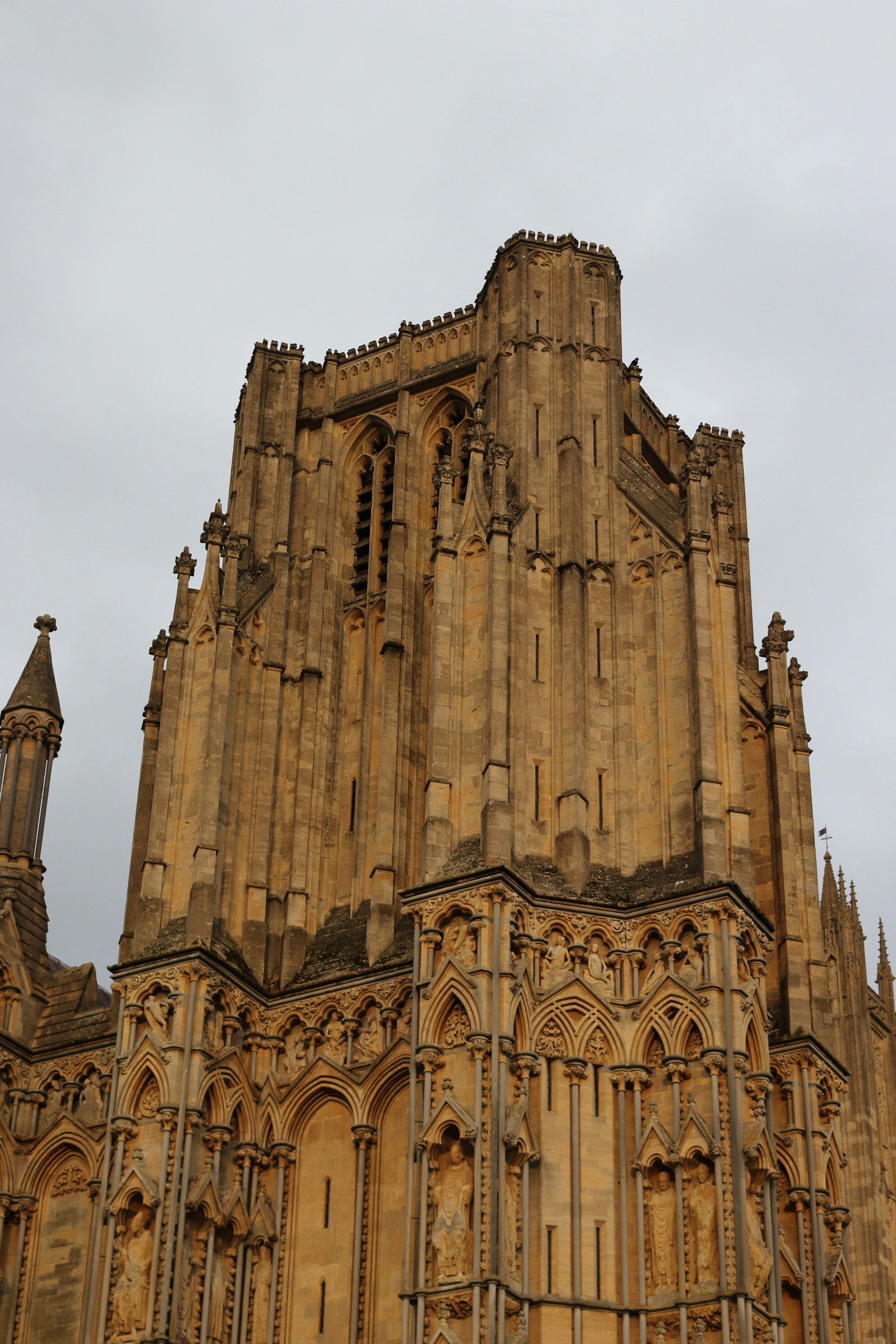 Photo by tanyabarrow