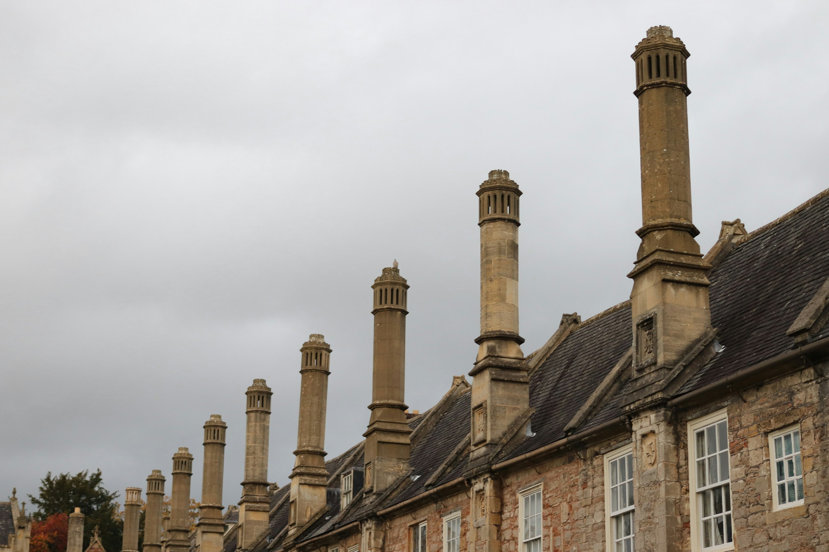 Photo by tanyabarrow