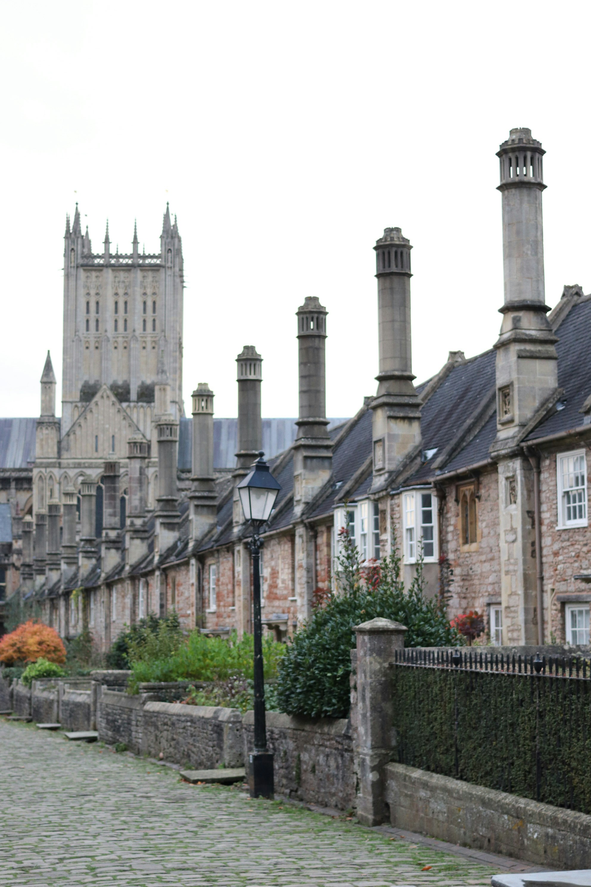 Photo by tanyabarrow