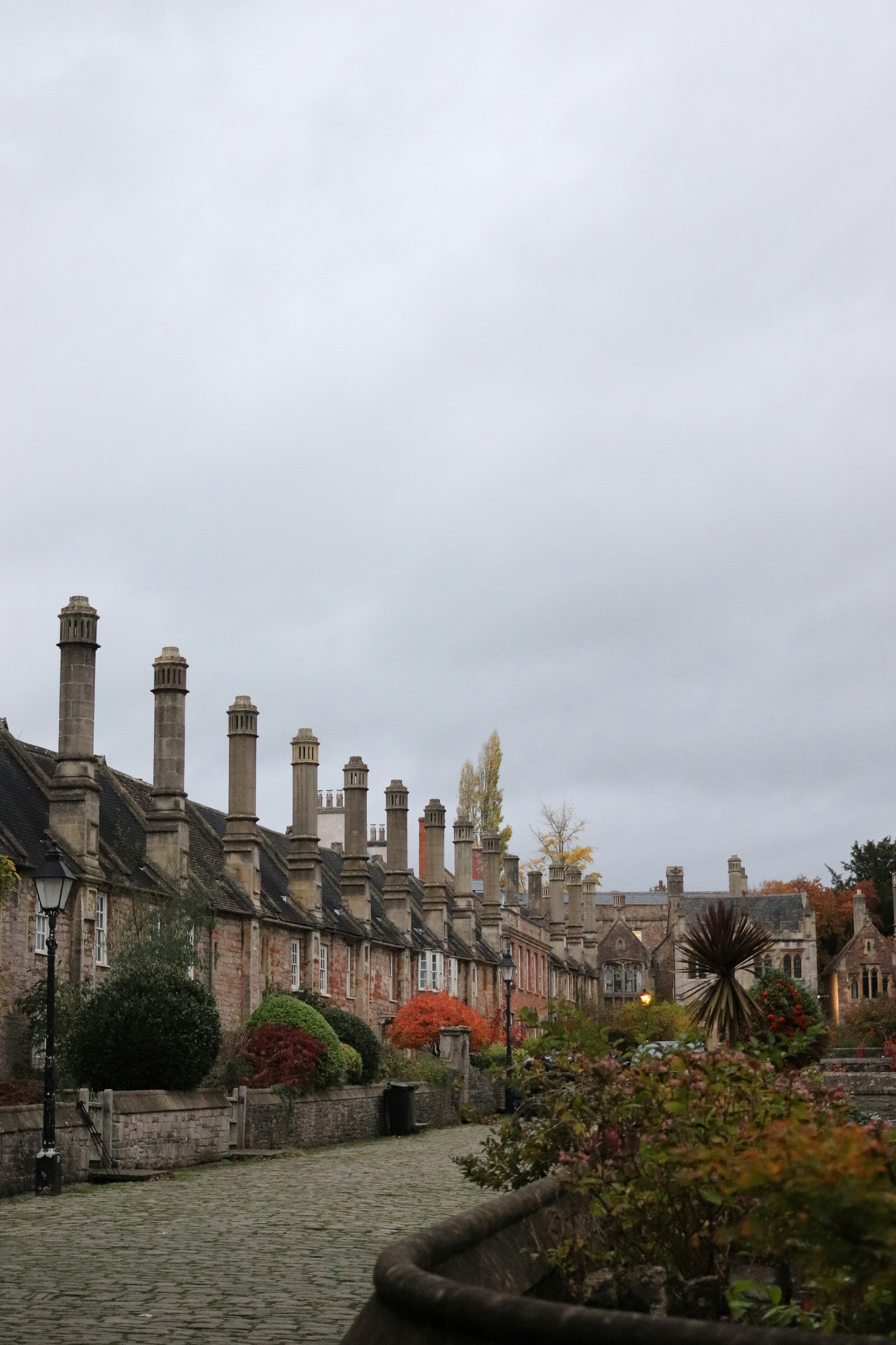 Photo by tanyabarrow