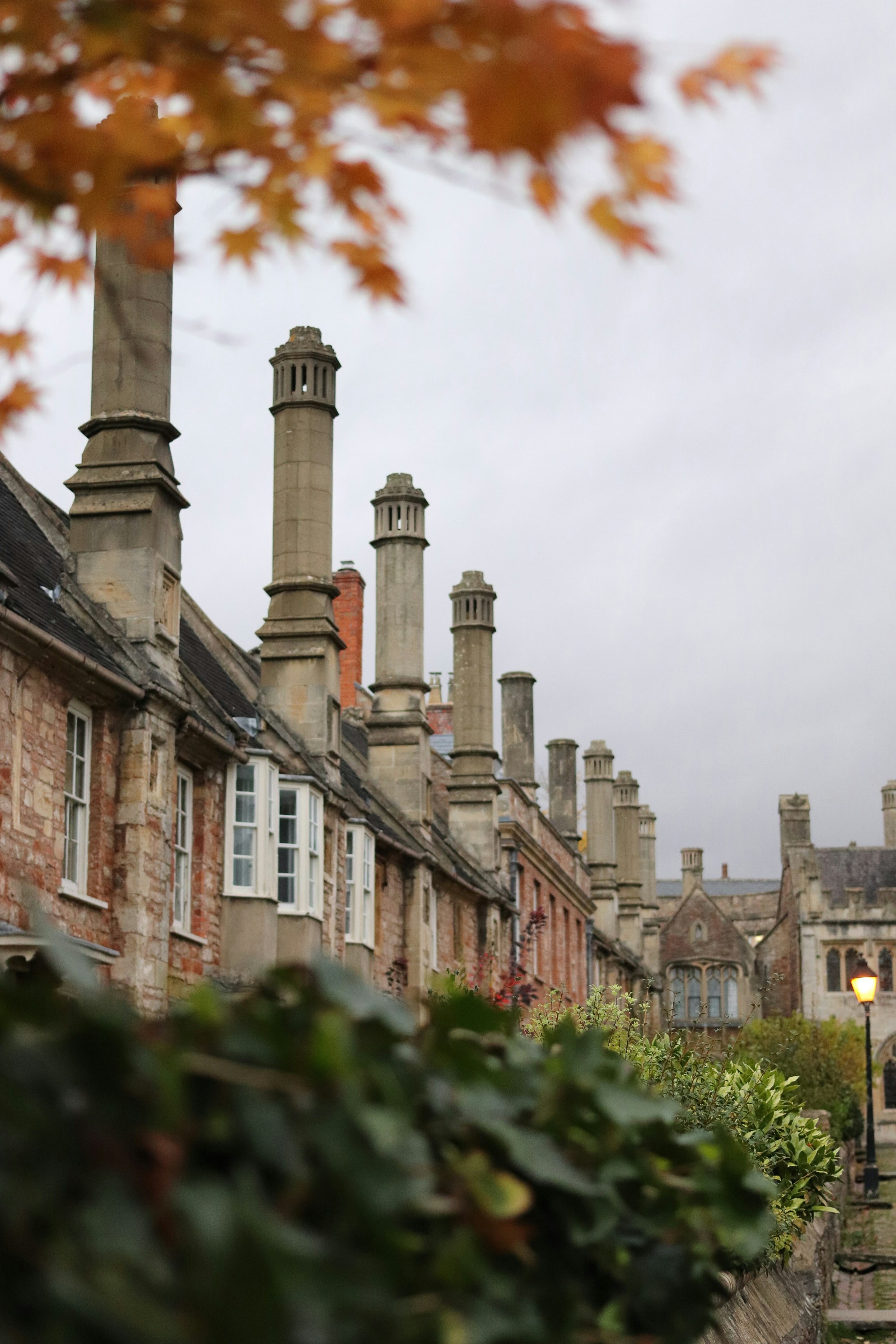 Photo by tanyabarrow