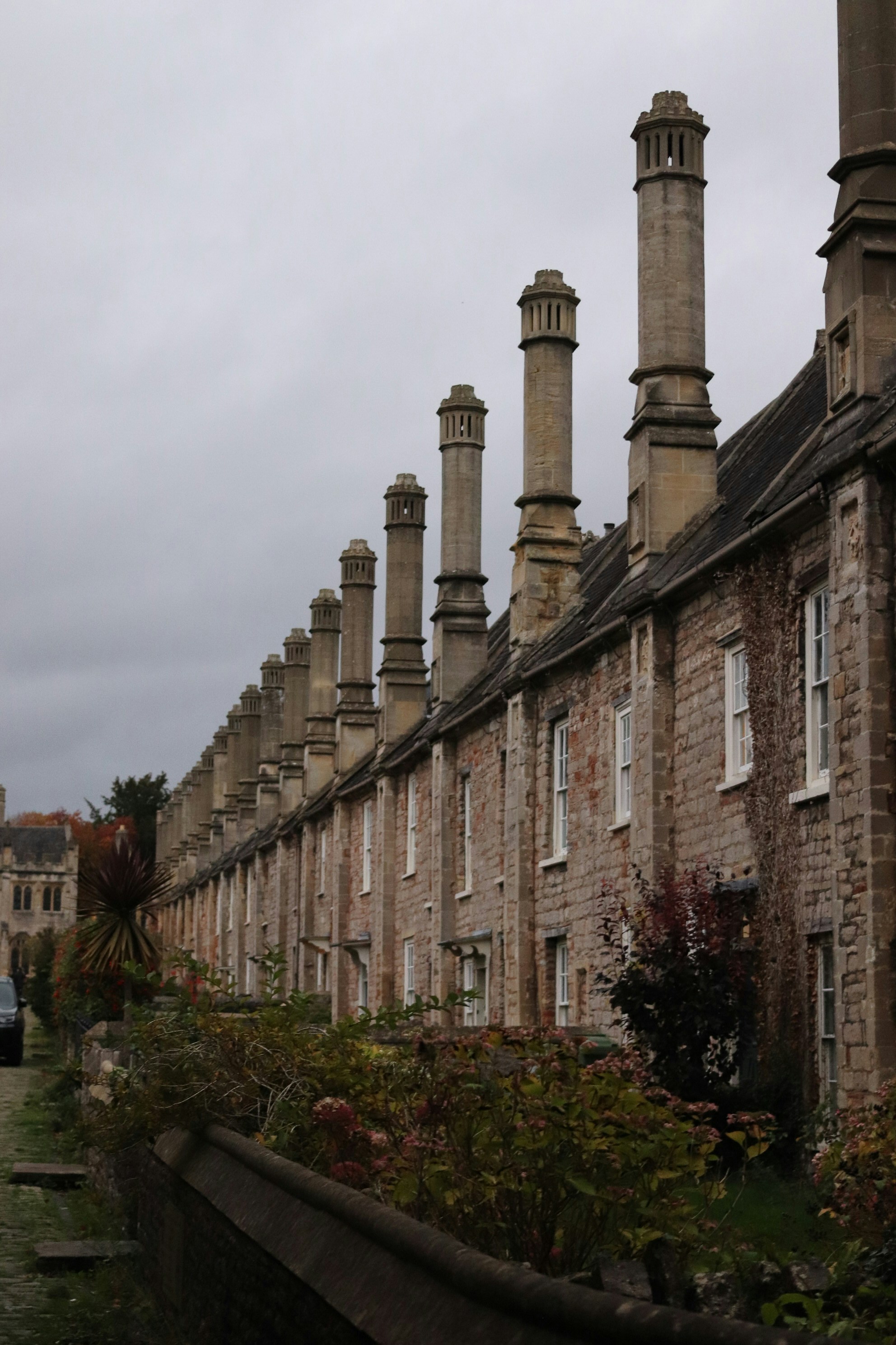 Photo by tanyabarrow