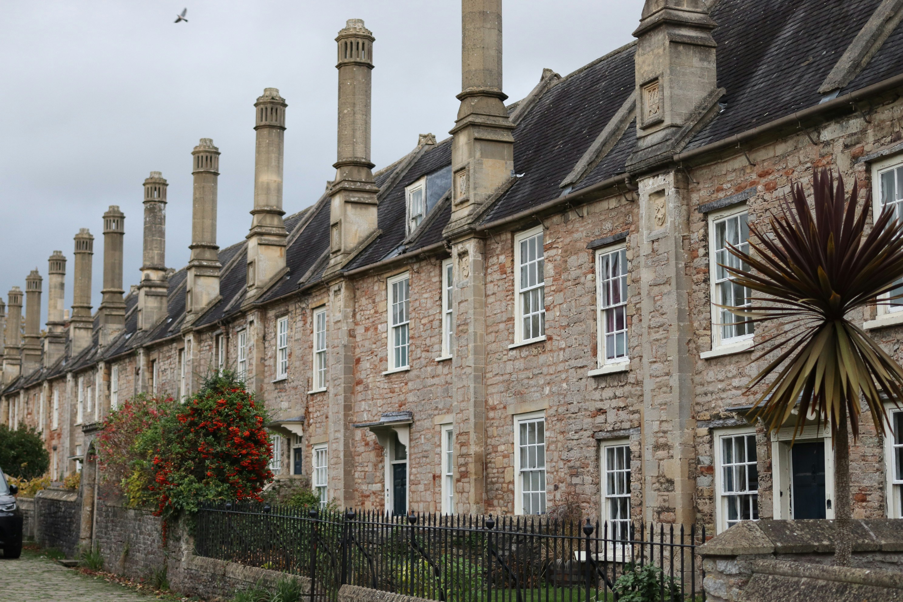 Photo by tanyabarrow