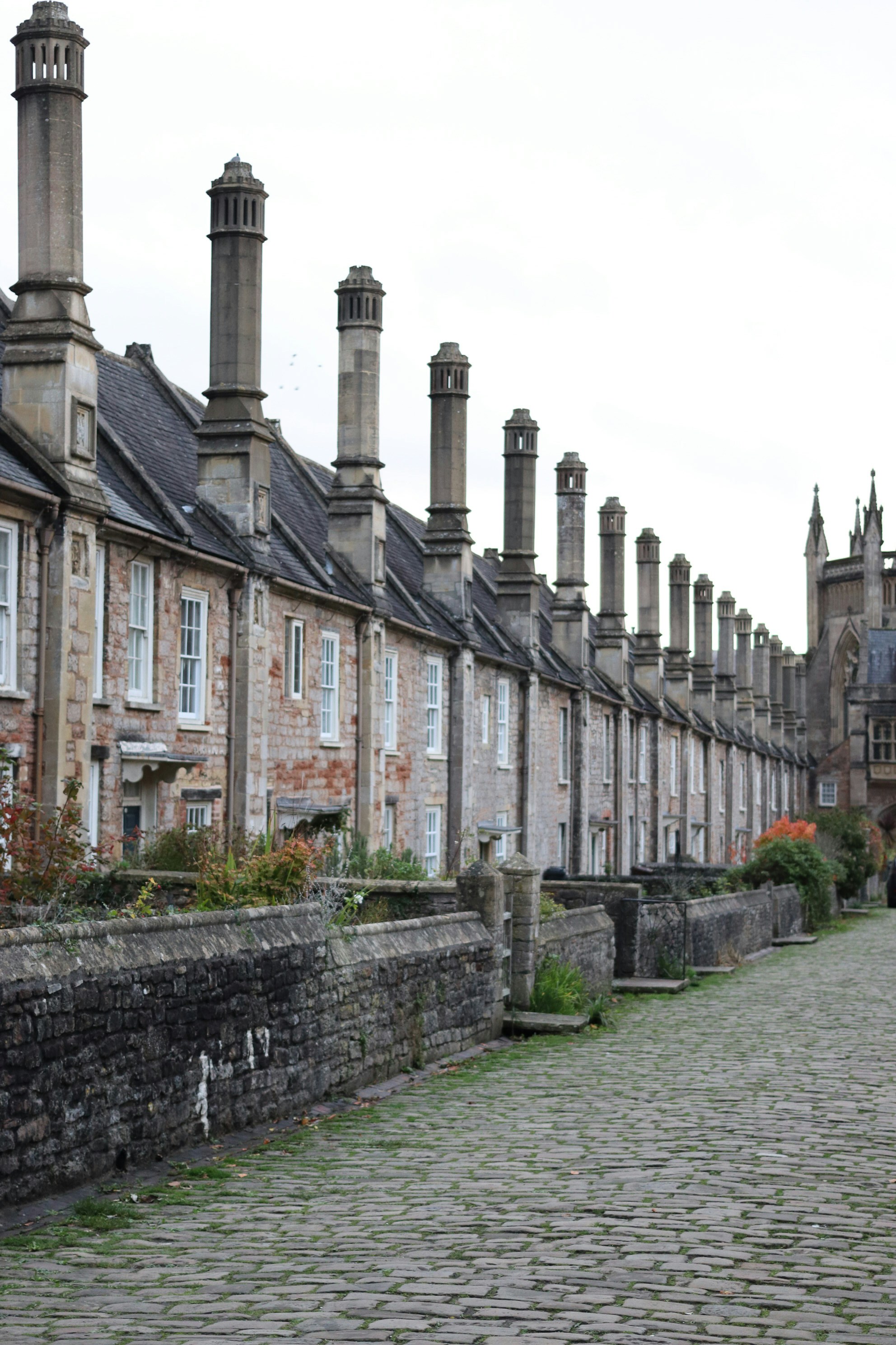 Photo by tanyabarrow