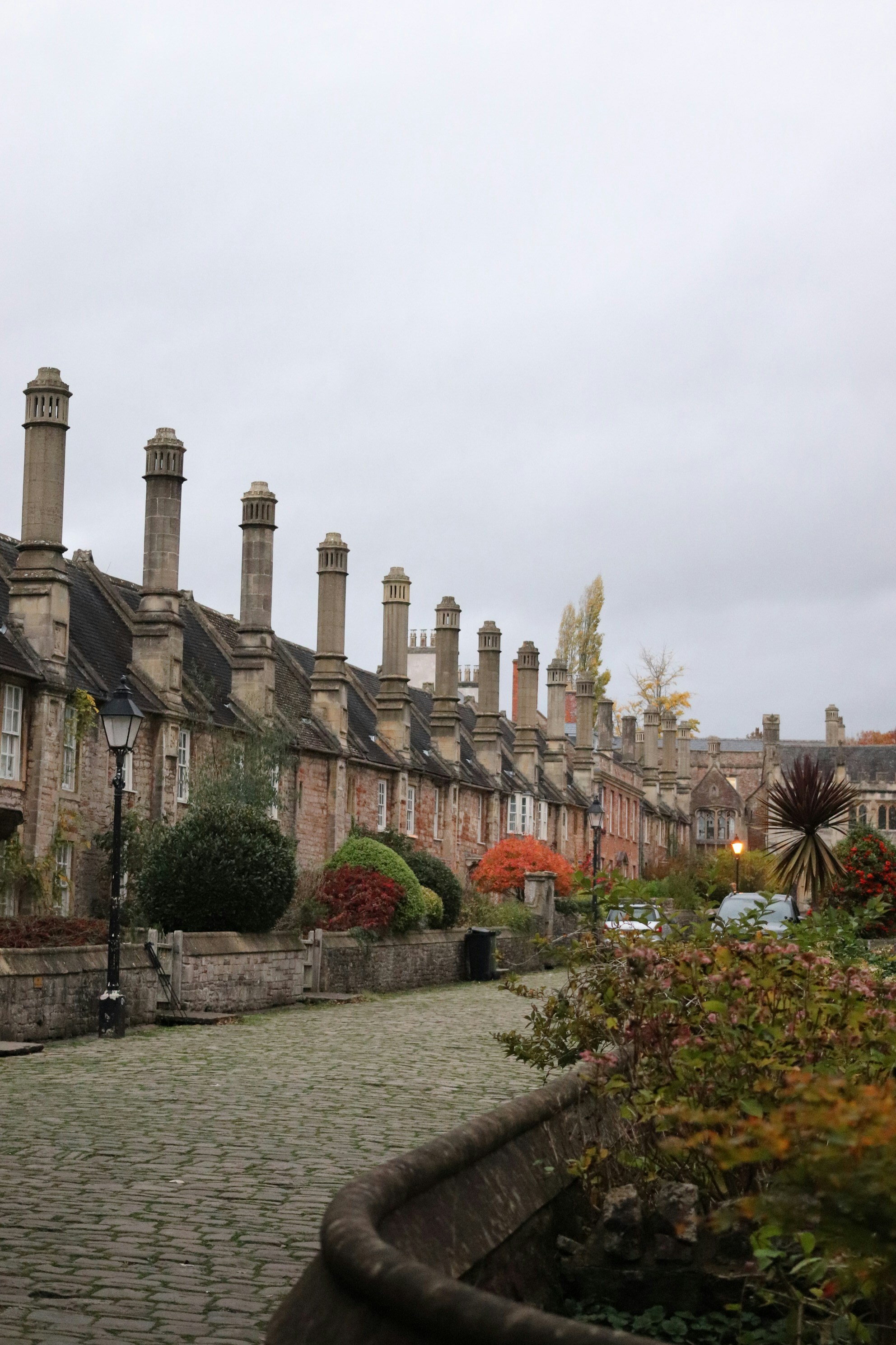 Photo by tanyabarrow