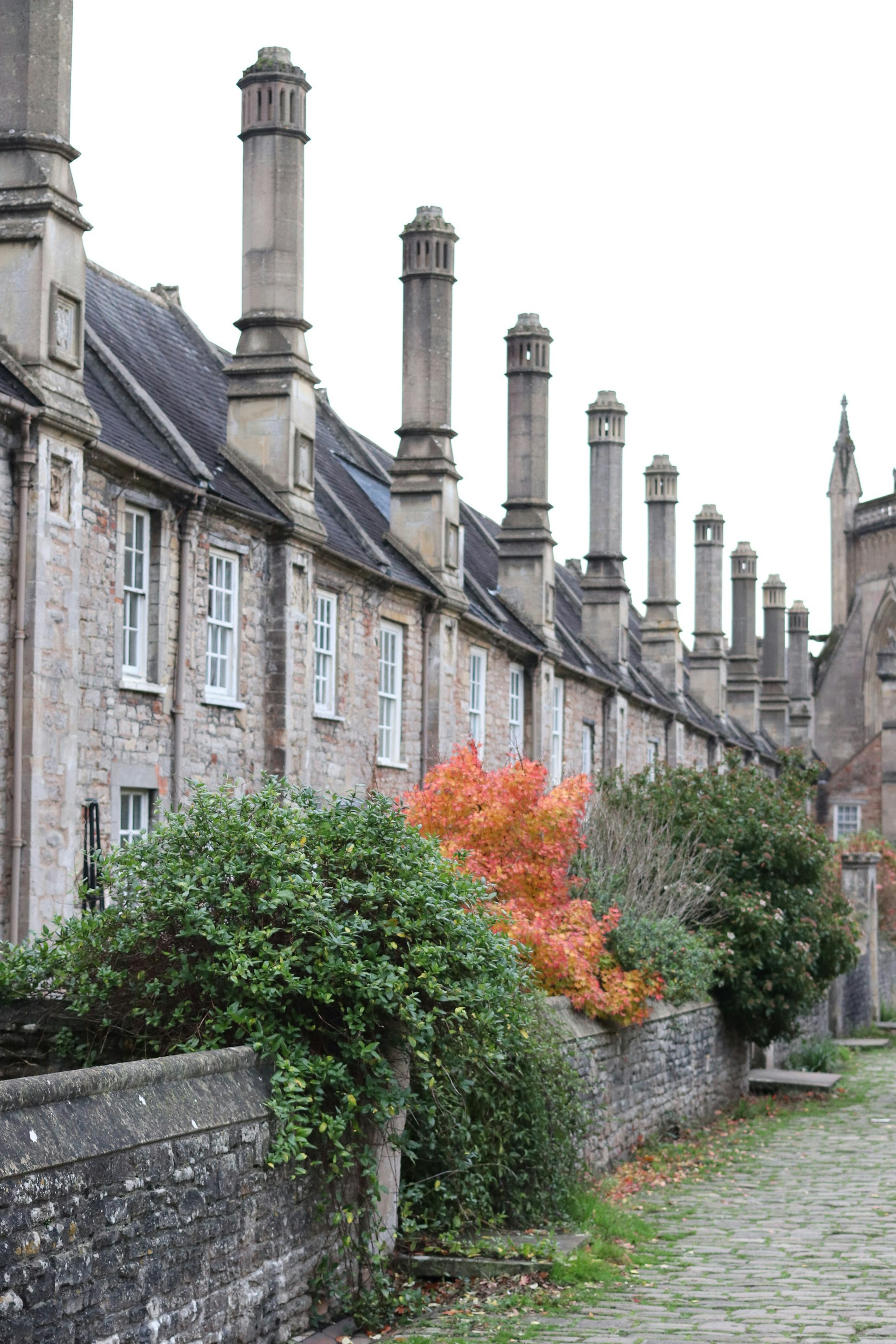 Photo by tanyabarrow