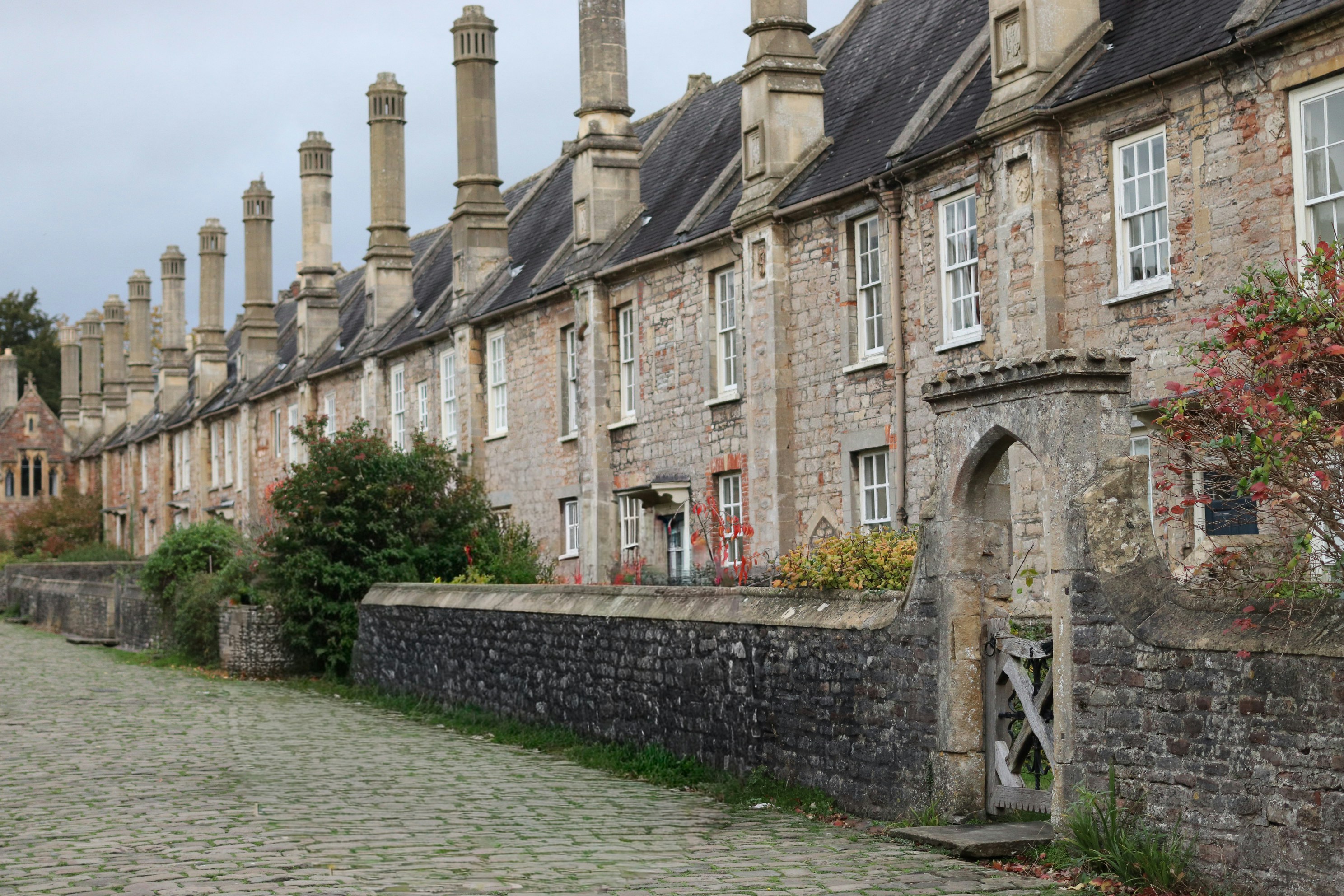 Photo by tanyabarrow