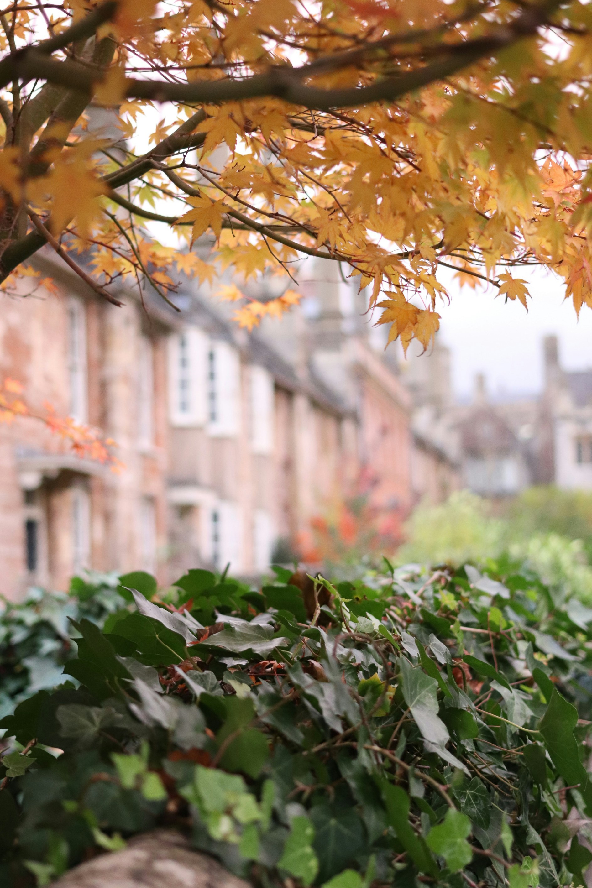 Photo by tanyabarrow