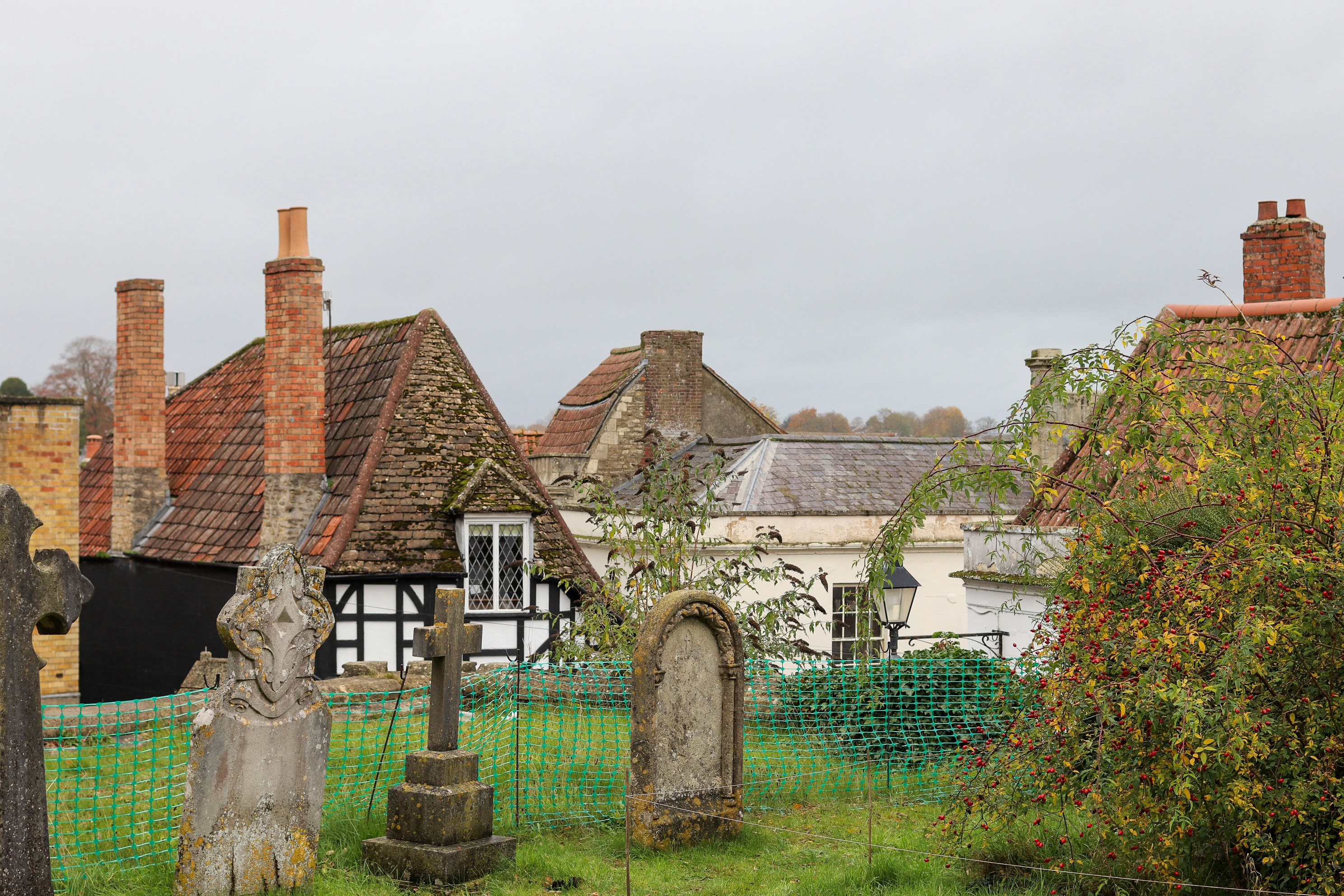 Photo by tanyabarrow