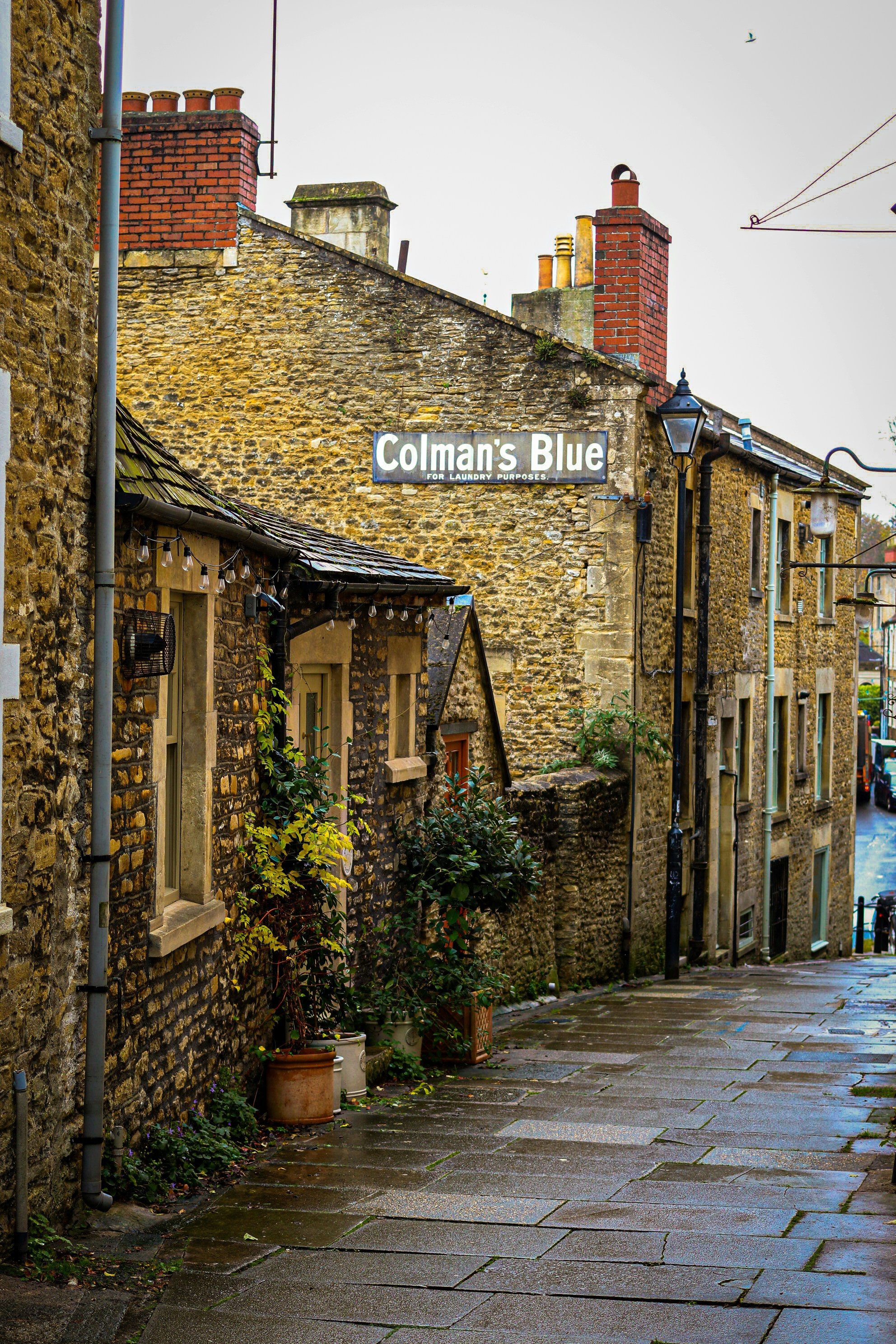 Photo by tanyabarrow